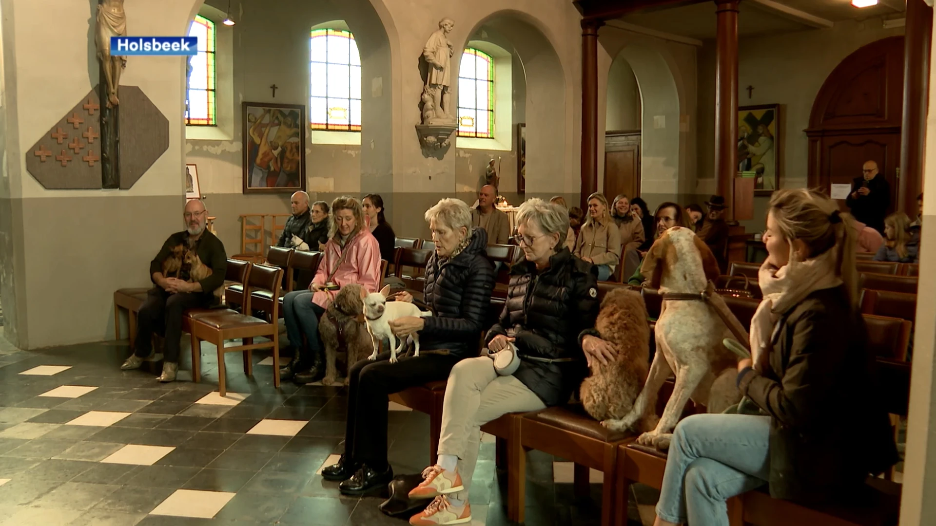 Honden, katten en zelfs ... paarden in de kerk in Holsbeek vandaag, pastoor: "Ik heb hen gezegend, dat ze liefde en troost mogen bieden"