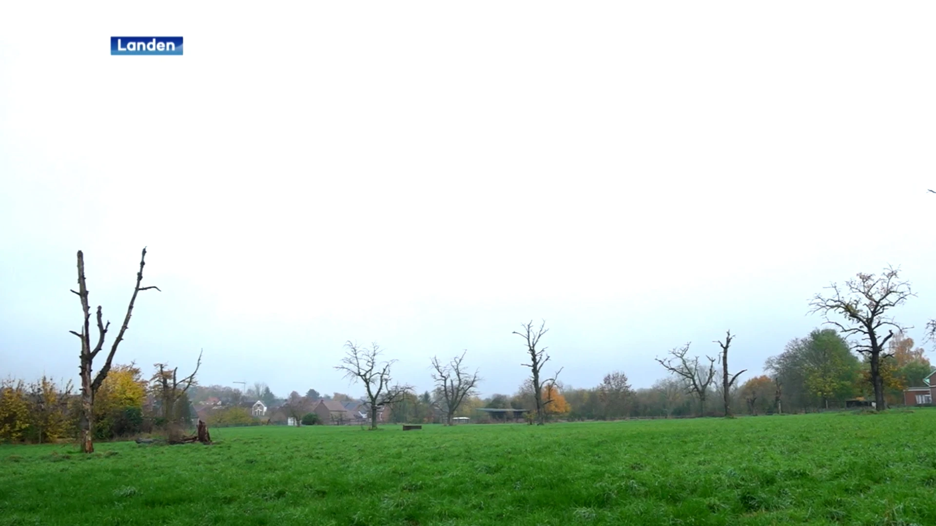 Landen koopt boomgaard De Grooten Hof in Attenhoven: "Beschermen als open ruimte, inwoners kunnen er gebruik van maken"