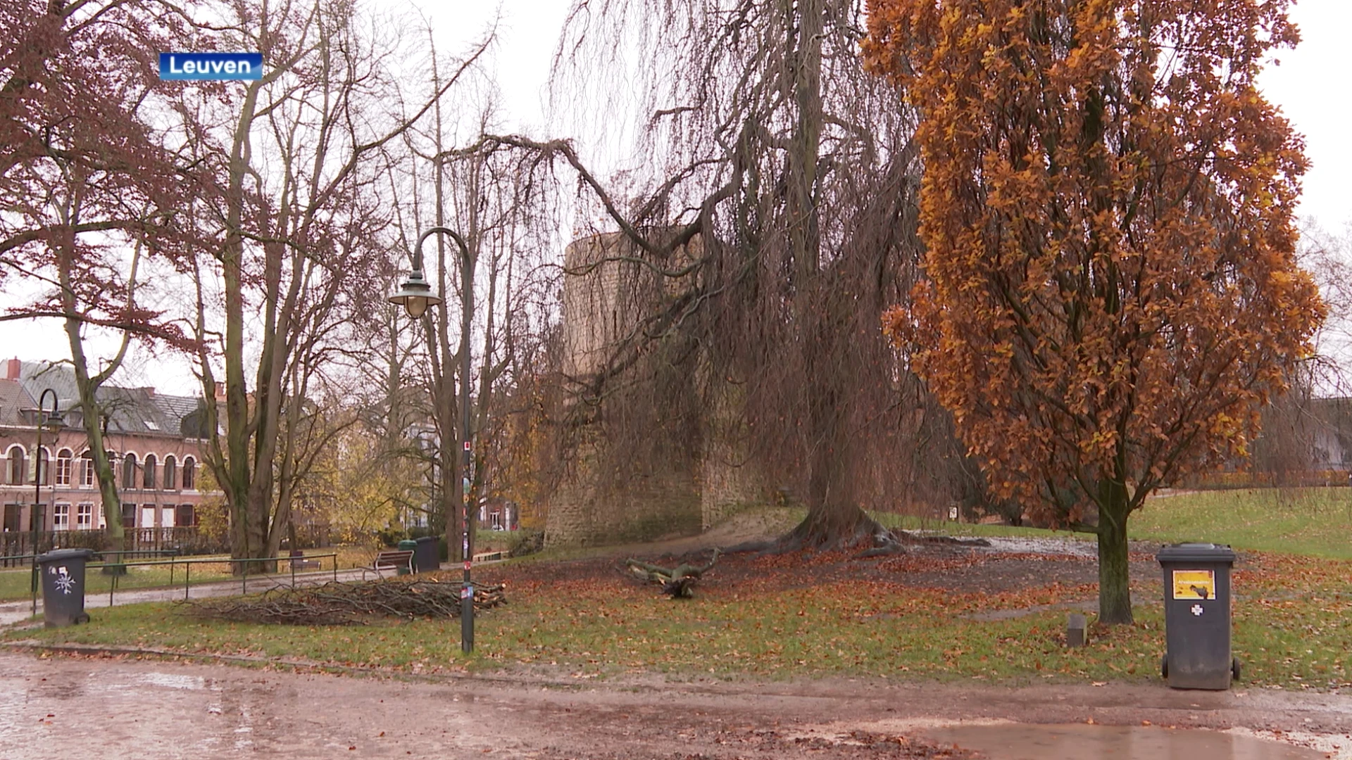 Leuven maakt 3 miljoen euro vrij voor vernieuwing Sint-Donatuspark