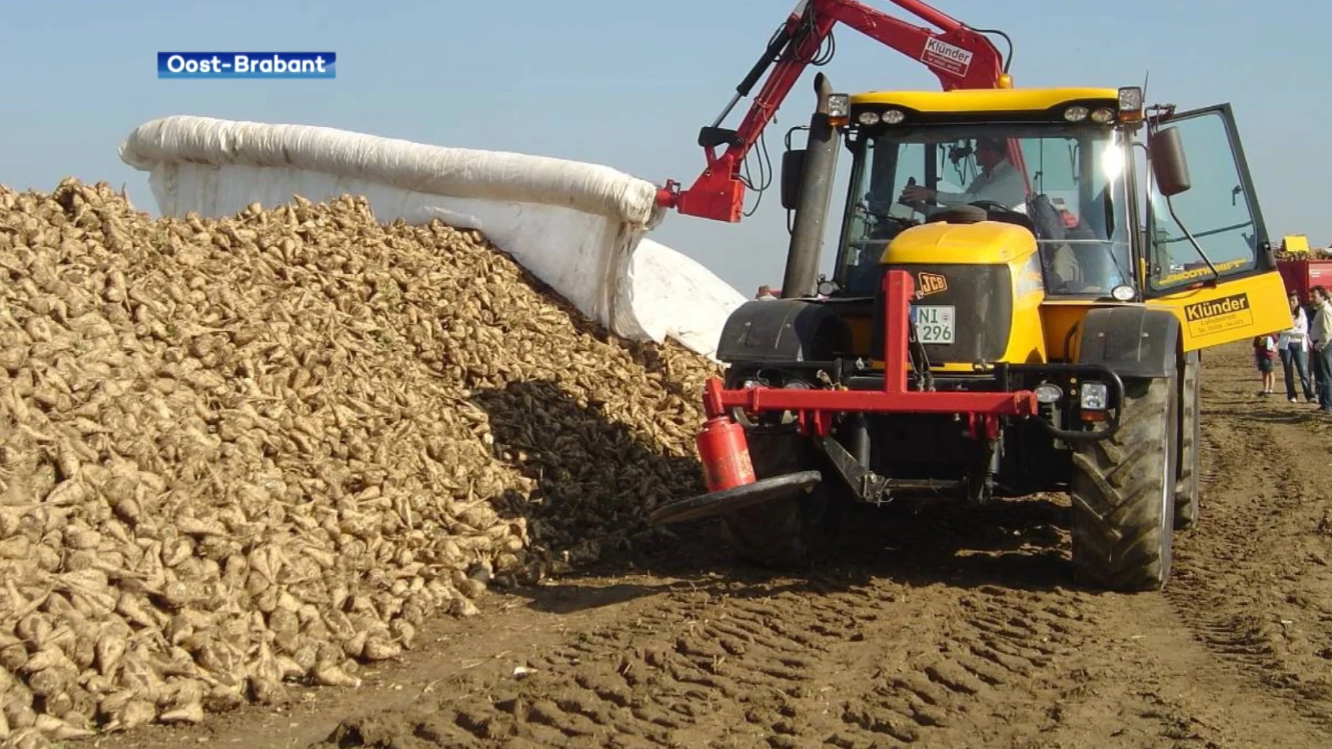 300 Vlaamse suikerbietplanters kopen samen 1500 beschermende afdekzeilen aan