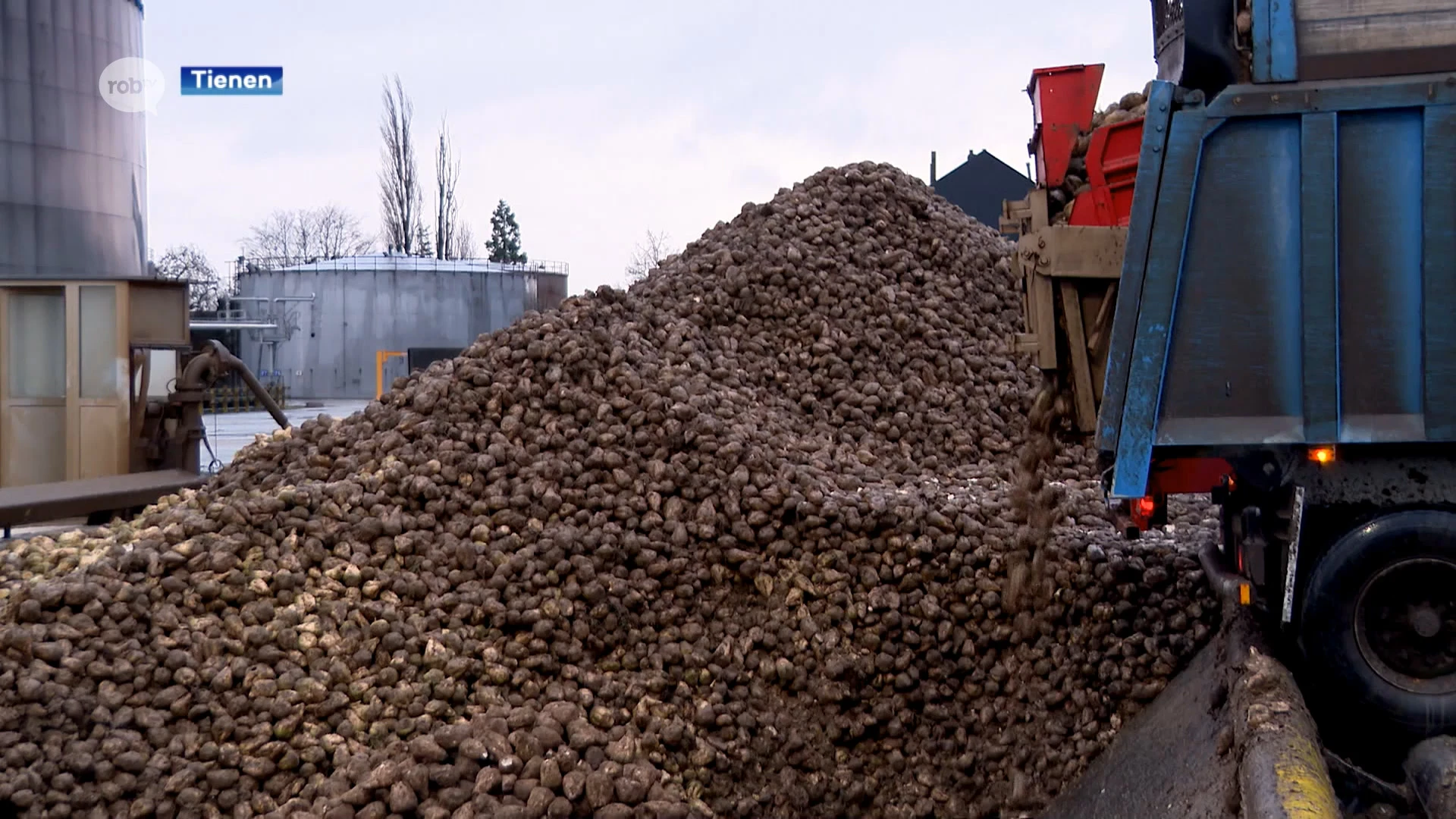 Natte zomer leidt tot lage suikerwaardes in bieten, ook nu veroorzaakt regen vertraging campagne: "Tien procent van een lading is modder"