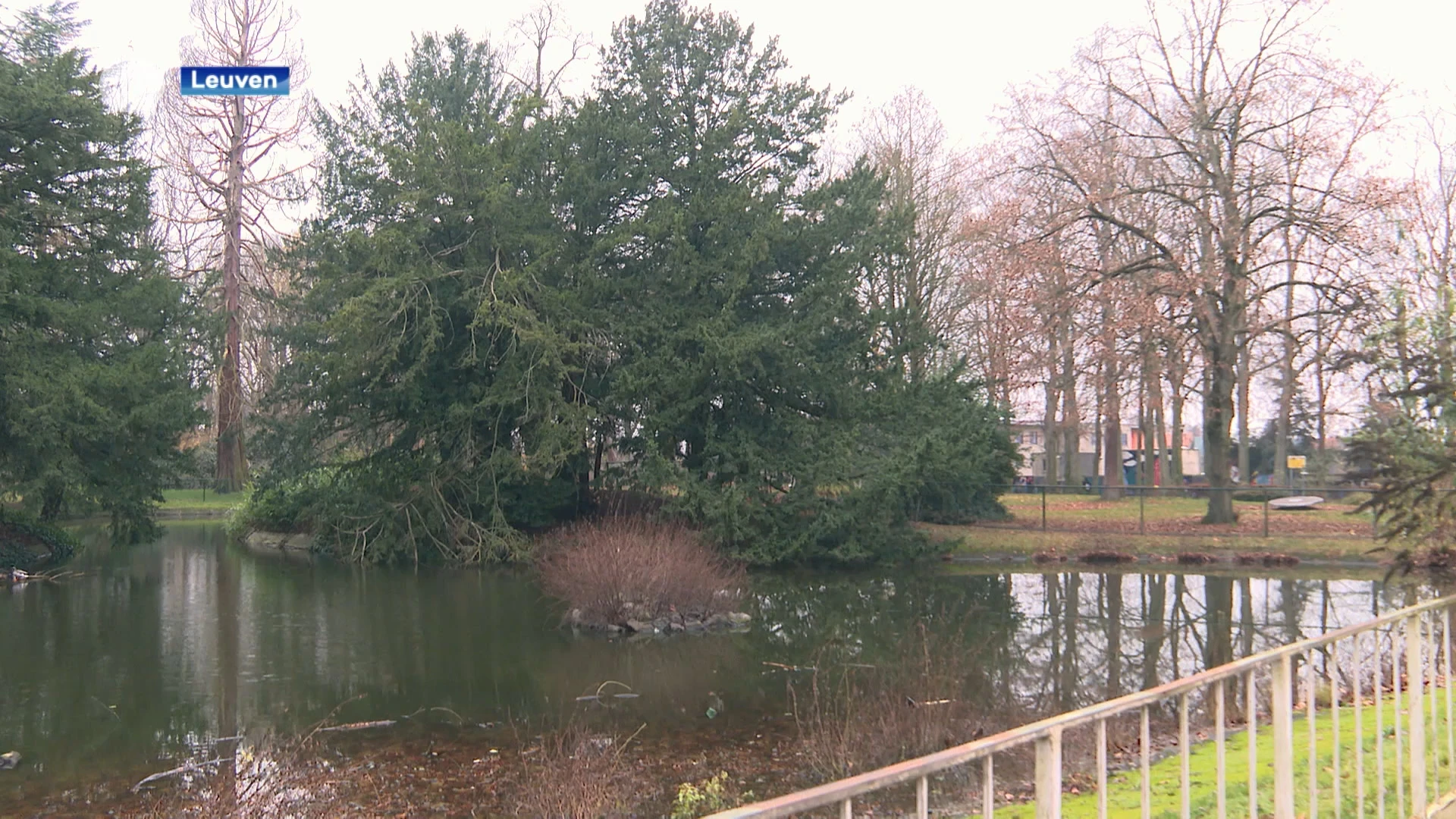 Ontwerp Heuvelhofpark in Leuven is klaar: "Er komt een zandstrand aan de vijver waar kinderen in het water kunnen ploeteren"