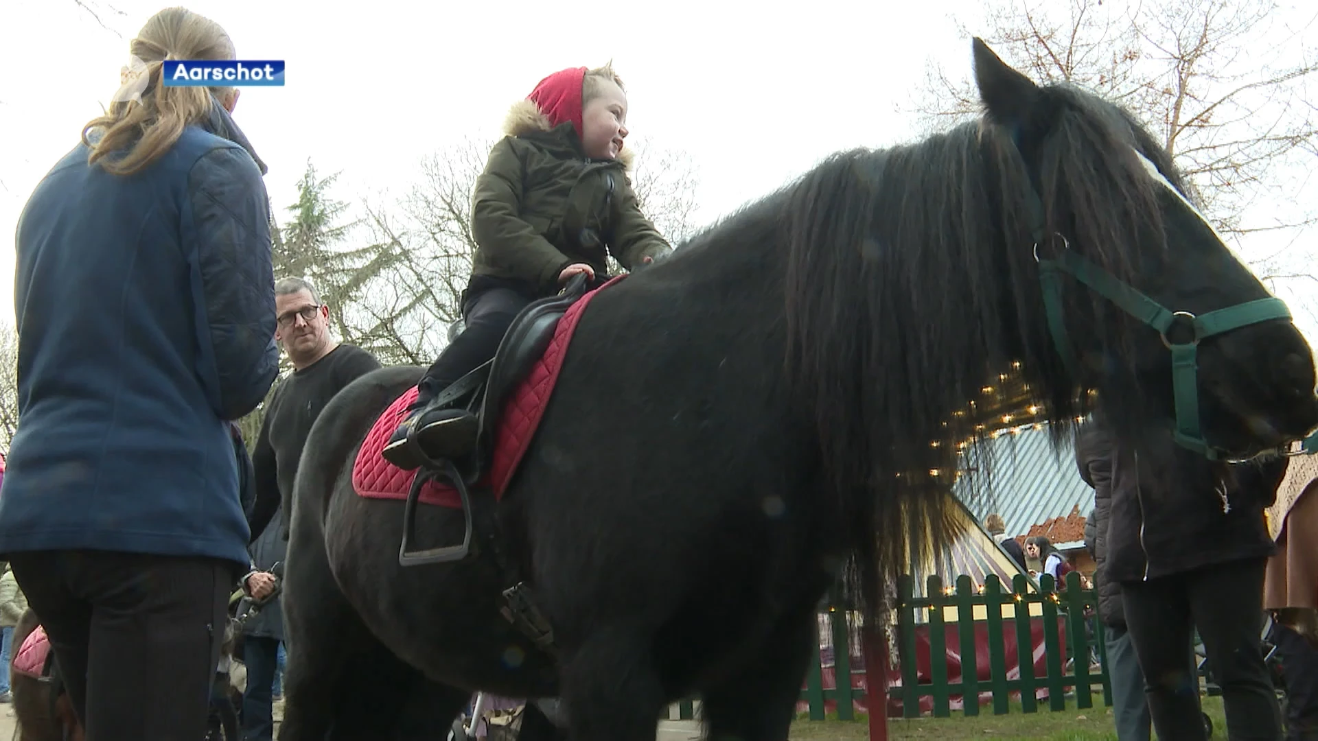 Alpaca's zorgen voor volkstoeloop op Winterdorp in Aarschot