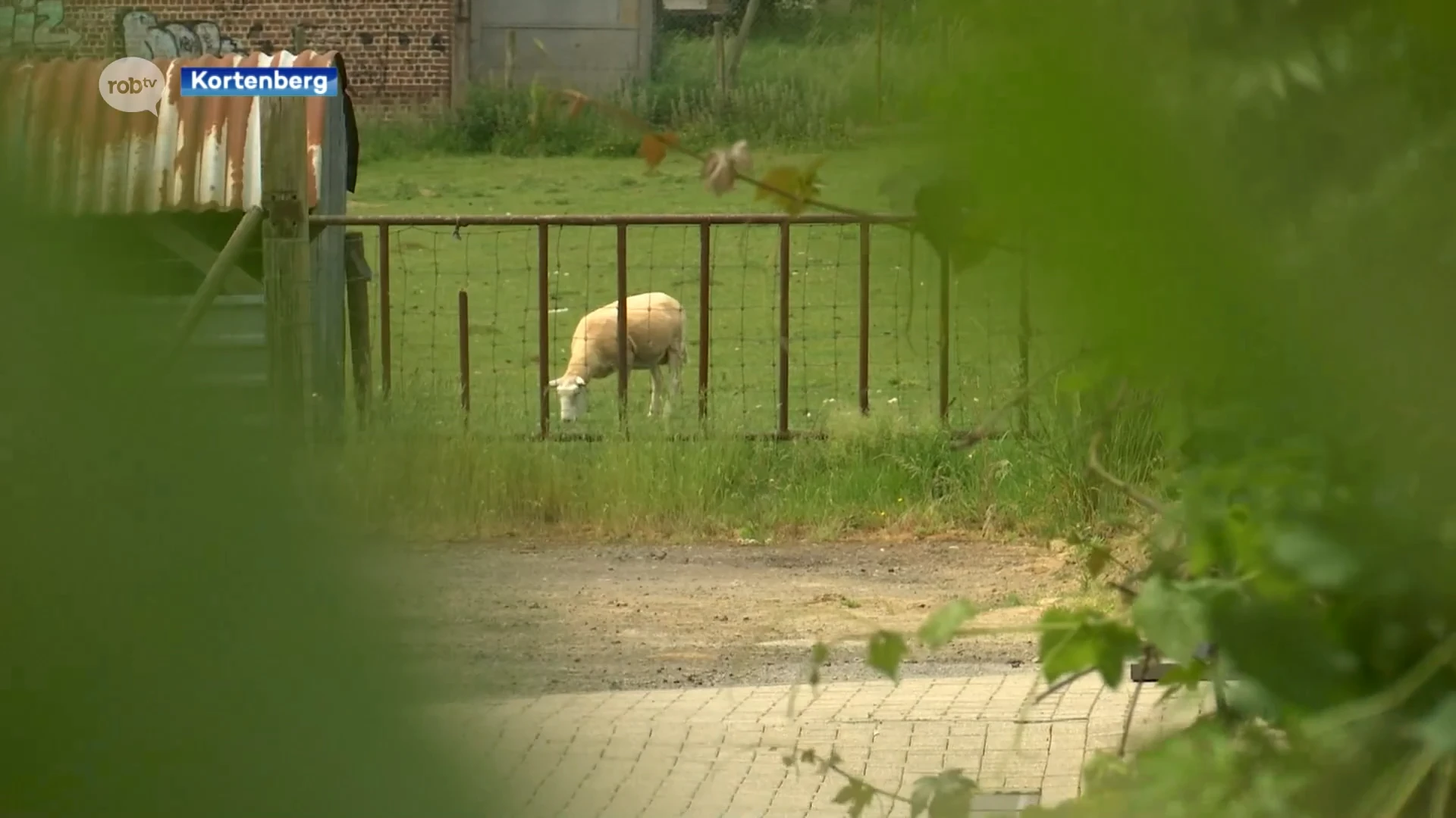 350 buurtbewoners dienen bezwaarschrift in tegen nieuwbouwproject in Everberg