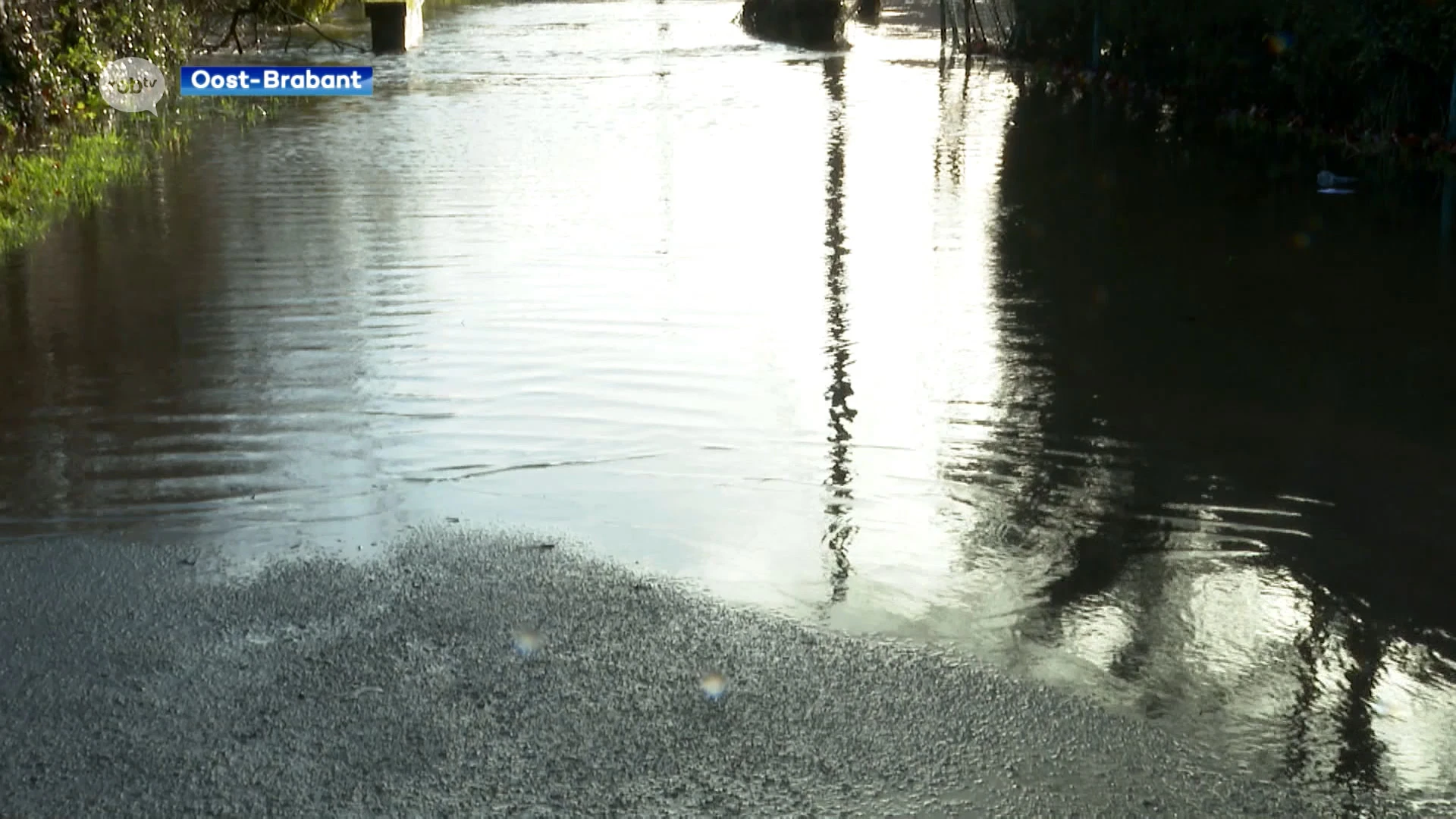 Ook in onze regio is er wateroverlast: "Als zestien jaar niet meer zoveel water gezien"