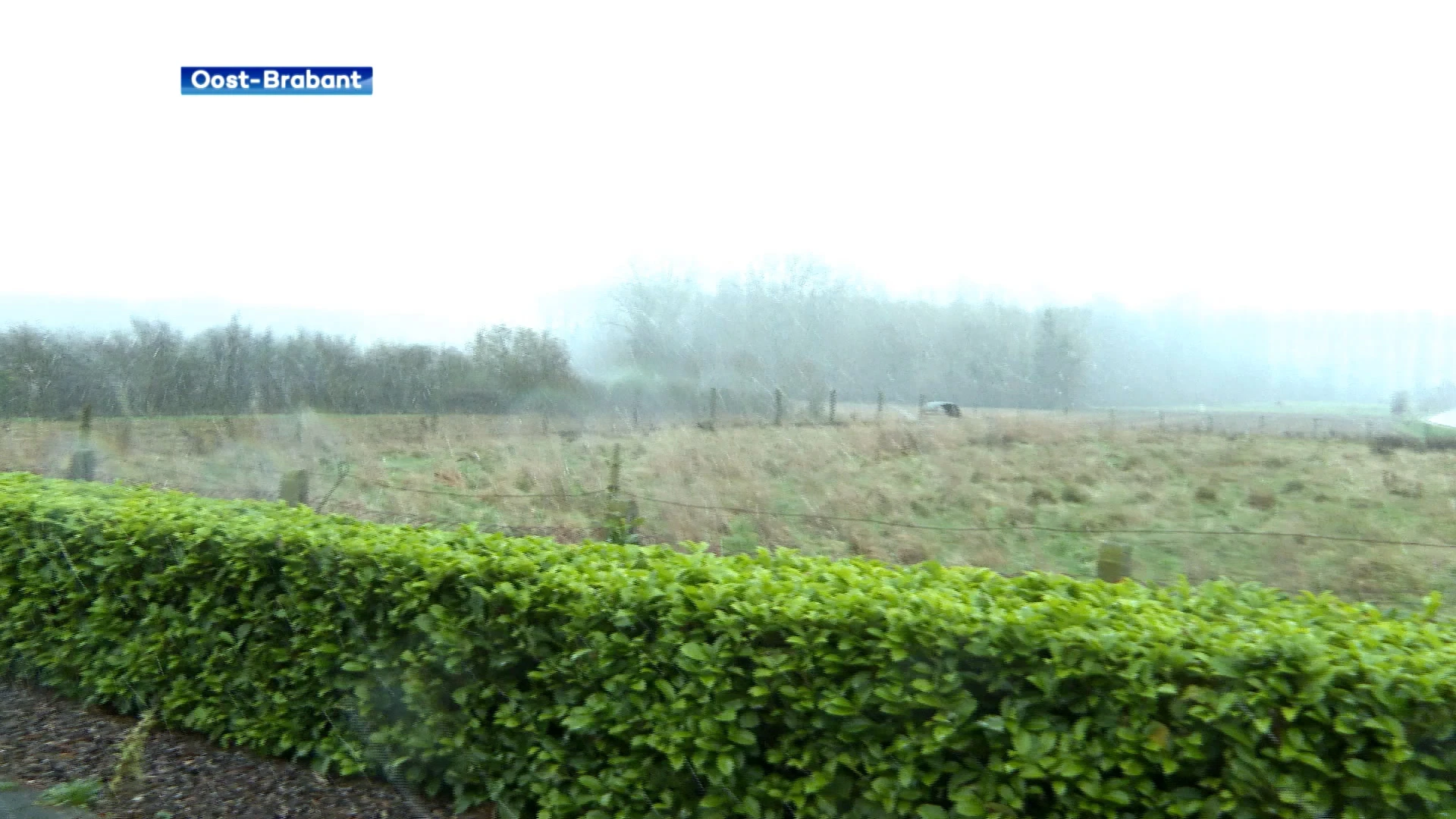 Eerste sneeuw is gevallen, de rest van de week wordt het vooral bitterkoud