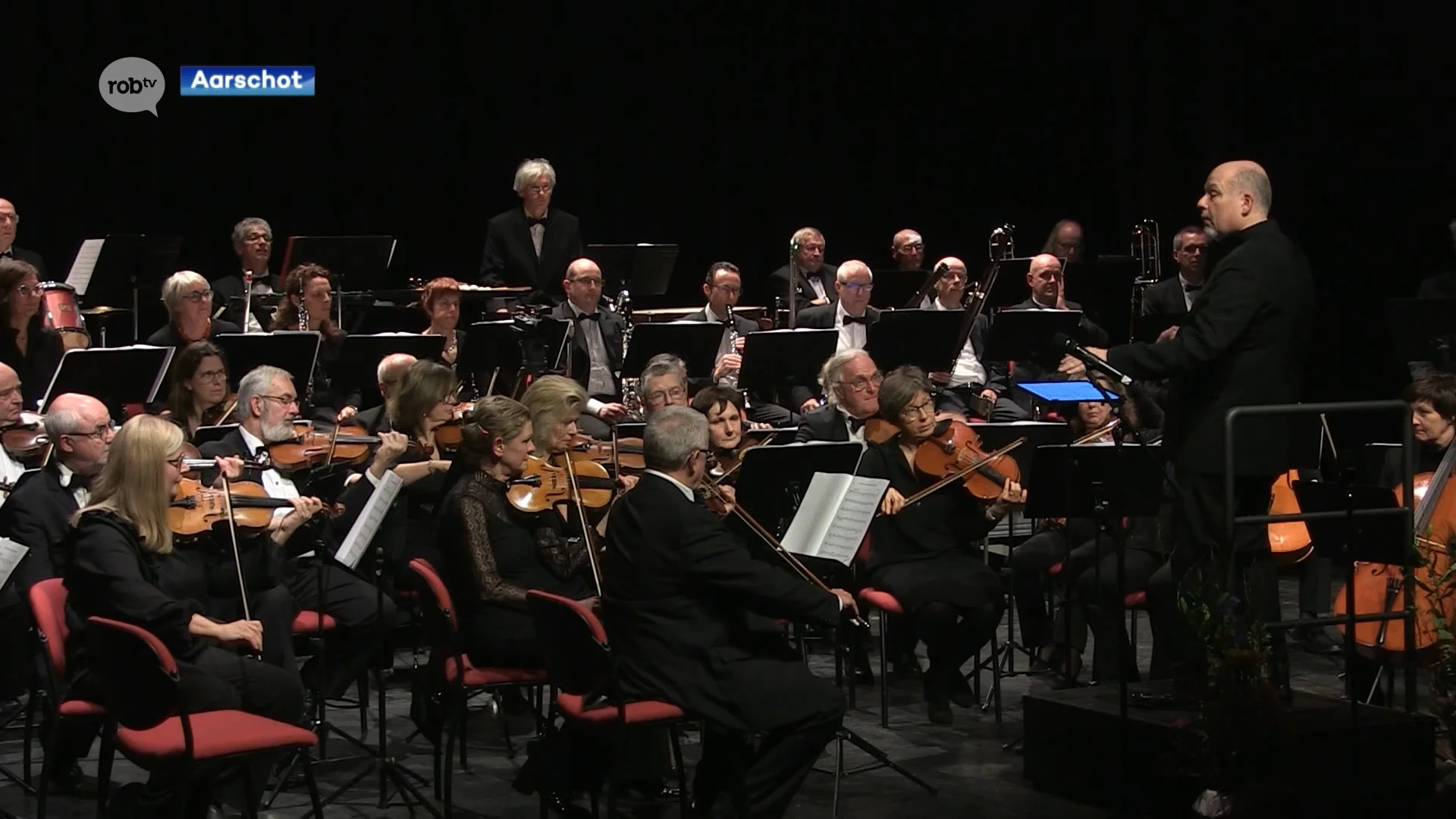 Wilfried Lemmens uit Aarschot componeert ode aan de Demer en ziet levensdroom na 40 jaar in vervulling gaan