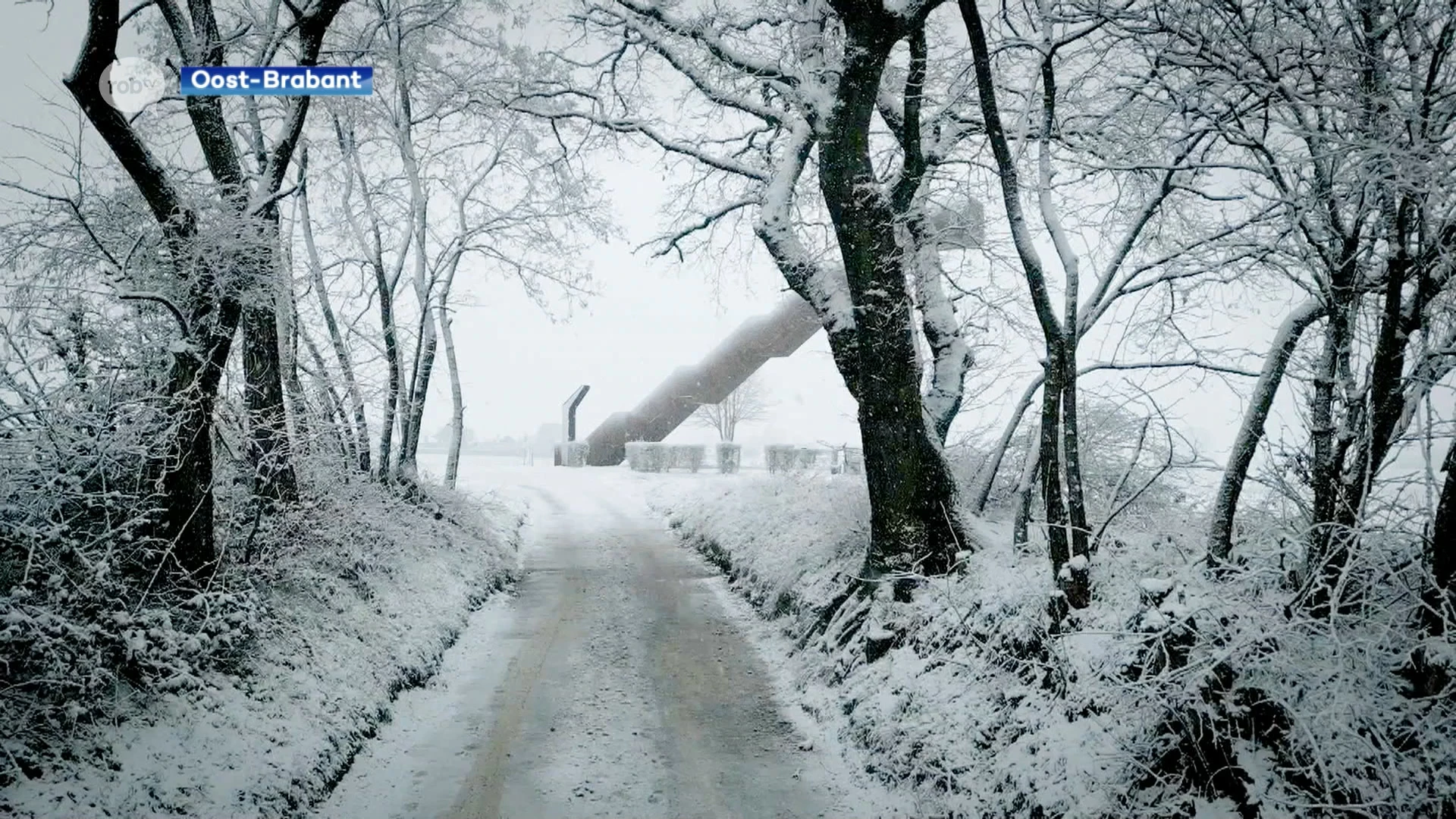 Gaat het woensdag sneeuwen of niet? "Sneeuwtapijt van 10 cm dik mogelijk in onze regio"