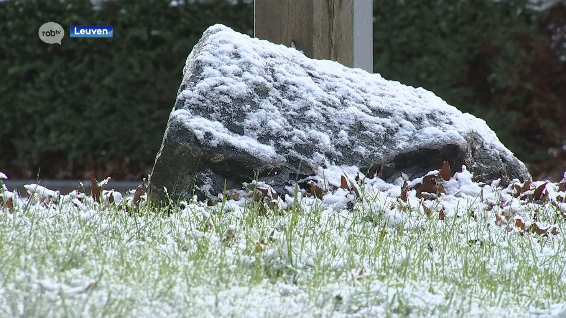 Enkele intense sneeuwbuien in onze regio: "Blijft nu niet liggen, vanavond mogelijk wel"