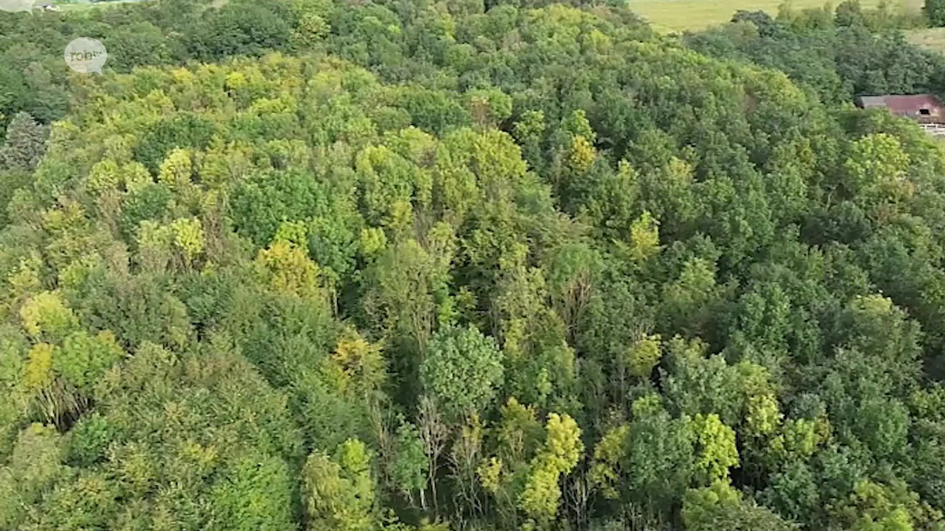 Natuurpunt roept op om natuurfoto's te delen en natuurherstel in de kijker te zetten