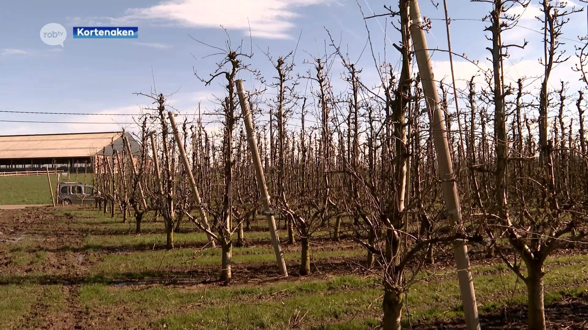 De fruitbomen zullen dit jaar 2 weken vroeger in bloei staan