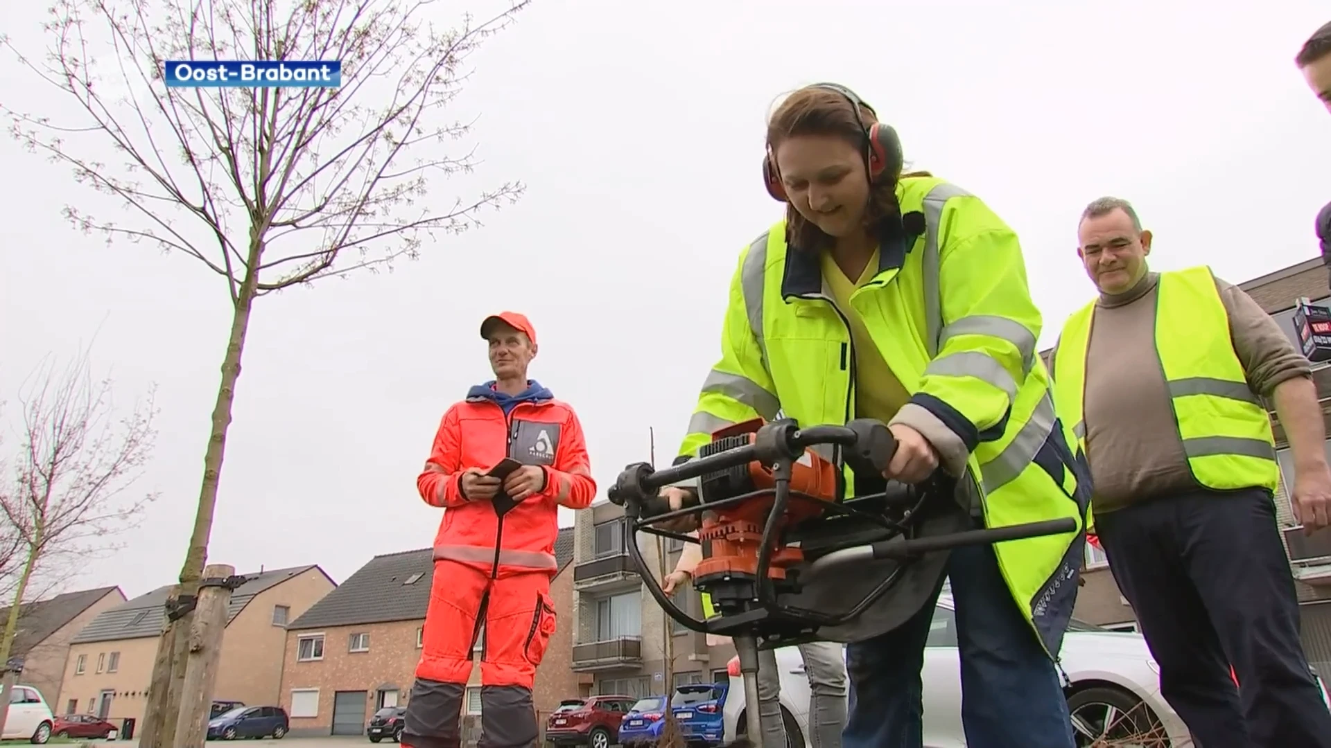 Een halve meter haag per inwoner tegen 2030, Gwendolyn Rutten helpt Vlaamse doelstelling mee te realiseren in Aarschot: "Dat kan je overal doen op een klein pleintje ergens in je buurt, maar dat maakt een wereld van verschil"