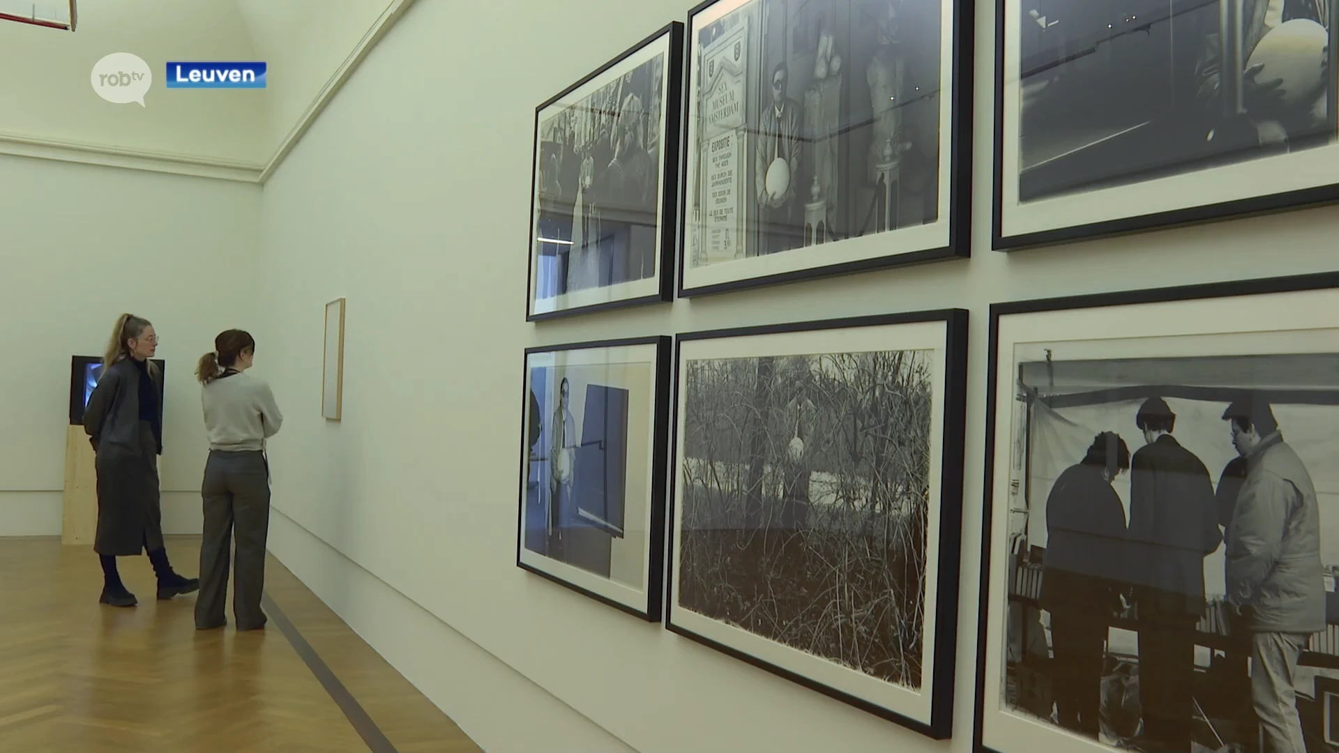 Kunst uit onze regio staat deze zomer centraal in M Leuven tijdens tentoonstelling 'Open M | Openlijk verborgen'