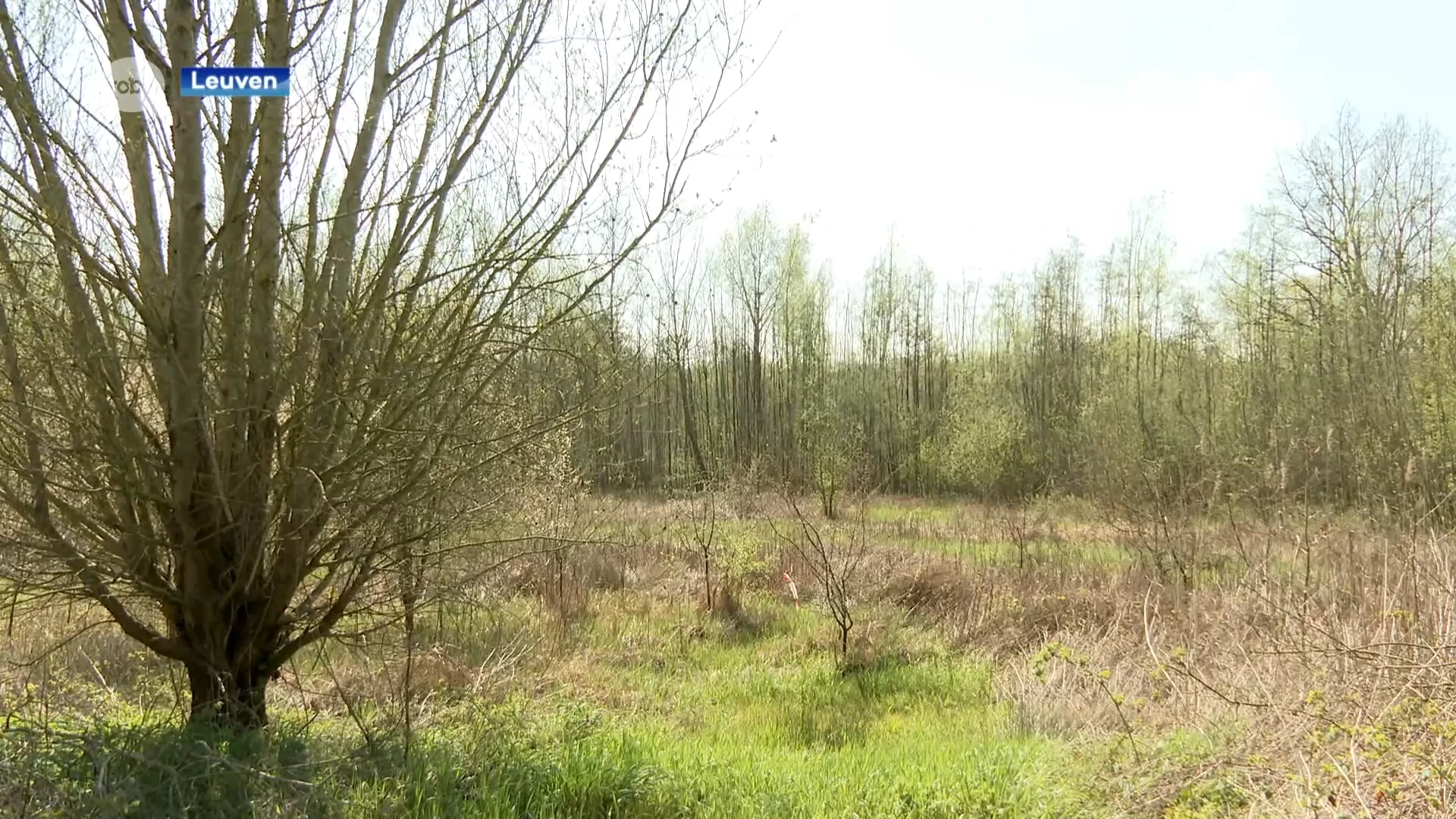 Bouw van parkeertoren voor het nieuwe Wetenschapspark Arenberg in Heverlee stap dichterbij: "Hopen dit jaar nog met de bouw te starten"