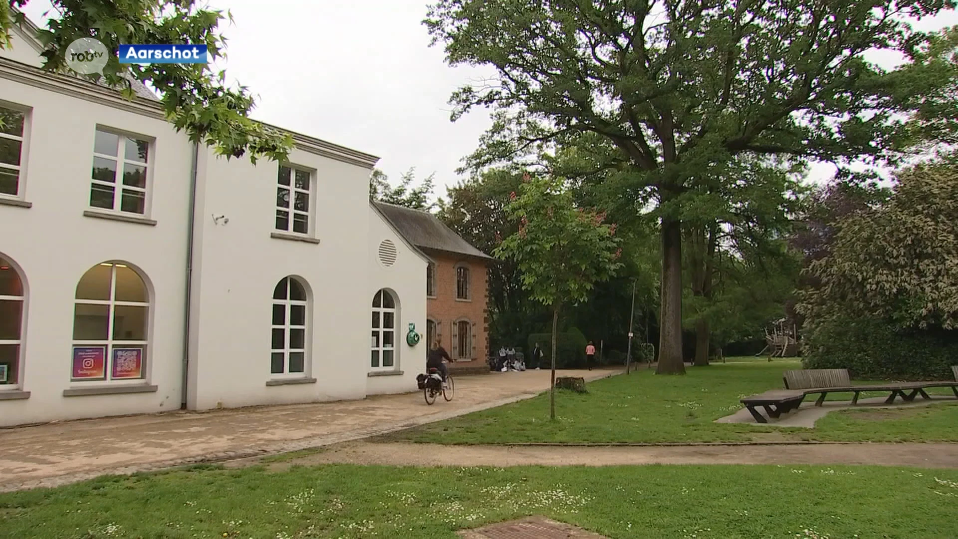 De stad Aarschot is op zoek naar haar mooiste bomen