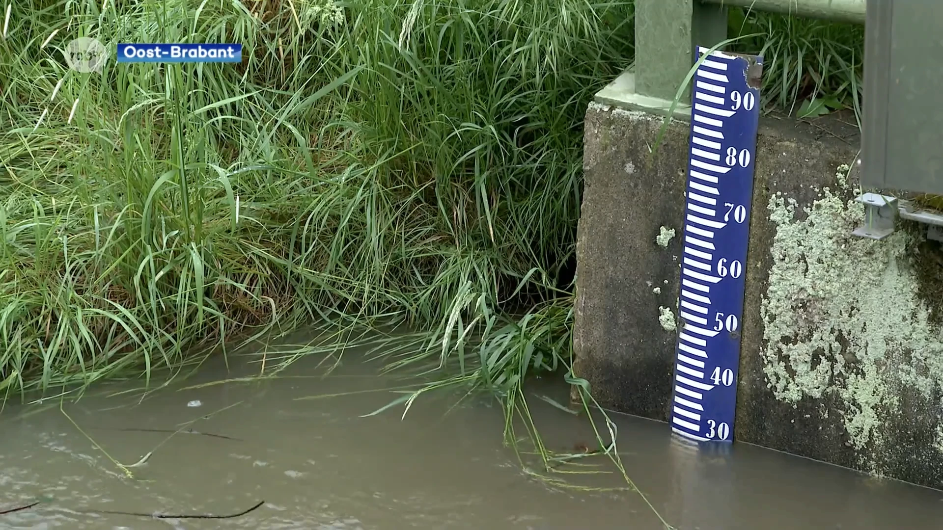 Kan onze regio nog meer regen aan? Alarmpeil in Kortenaken en Rotselaar bereikt, bufferbekkens vol