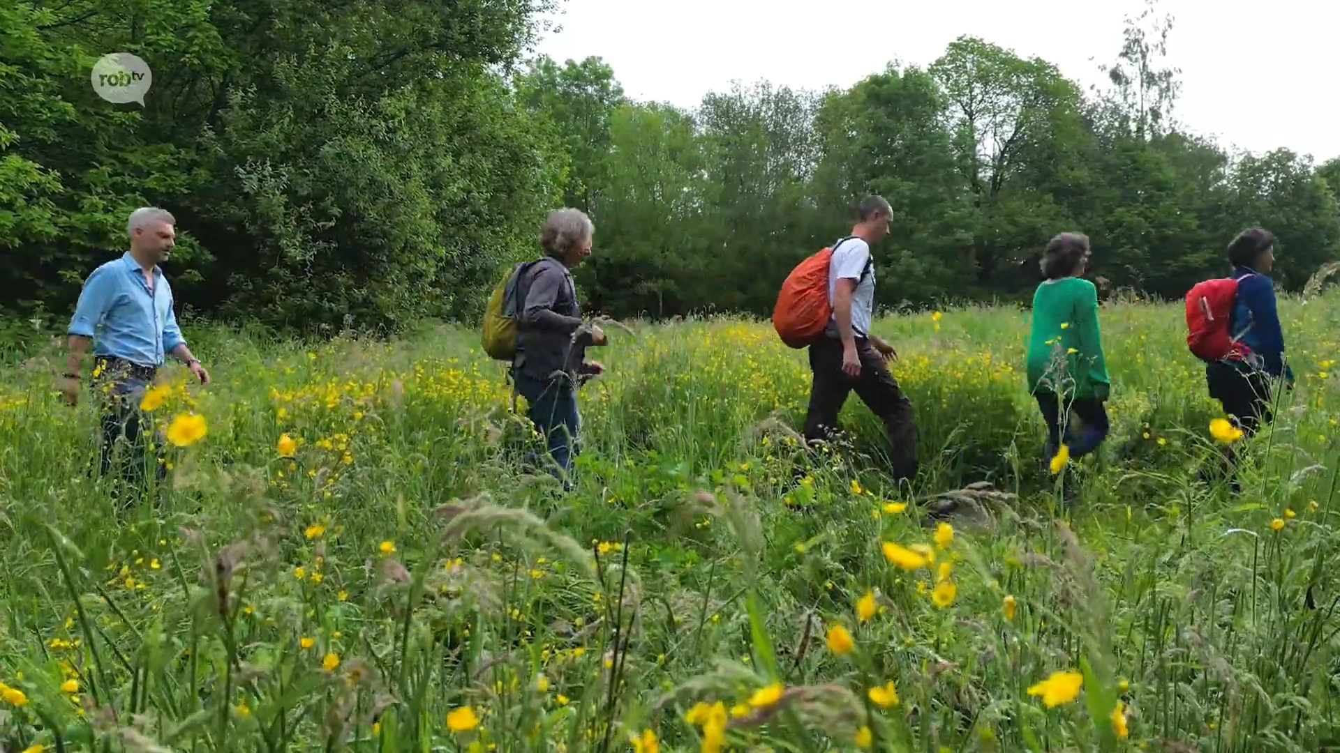 Provincie Vlaams-Brabant: Wandelen in de Groene Gordel