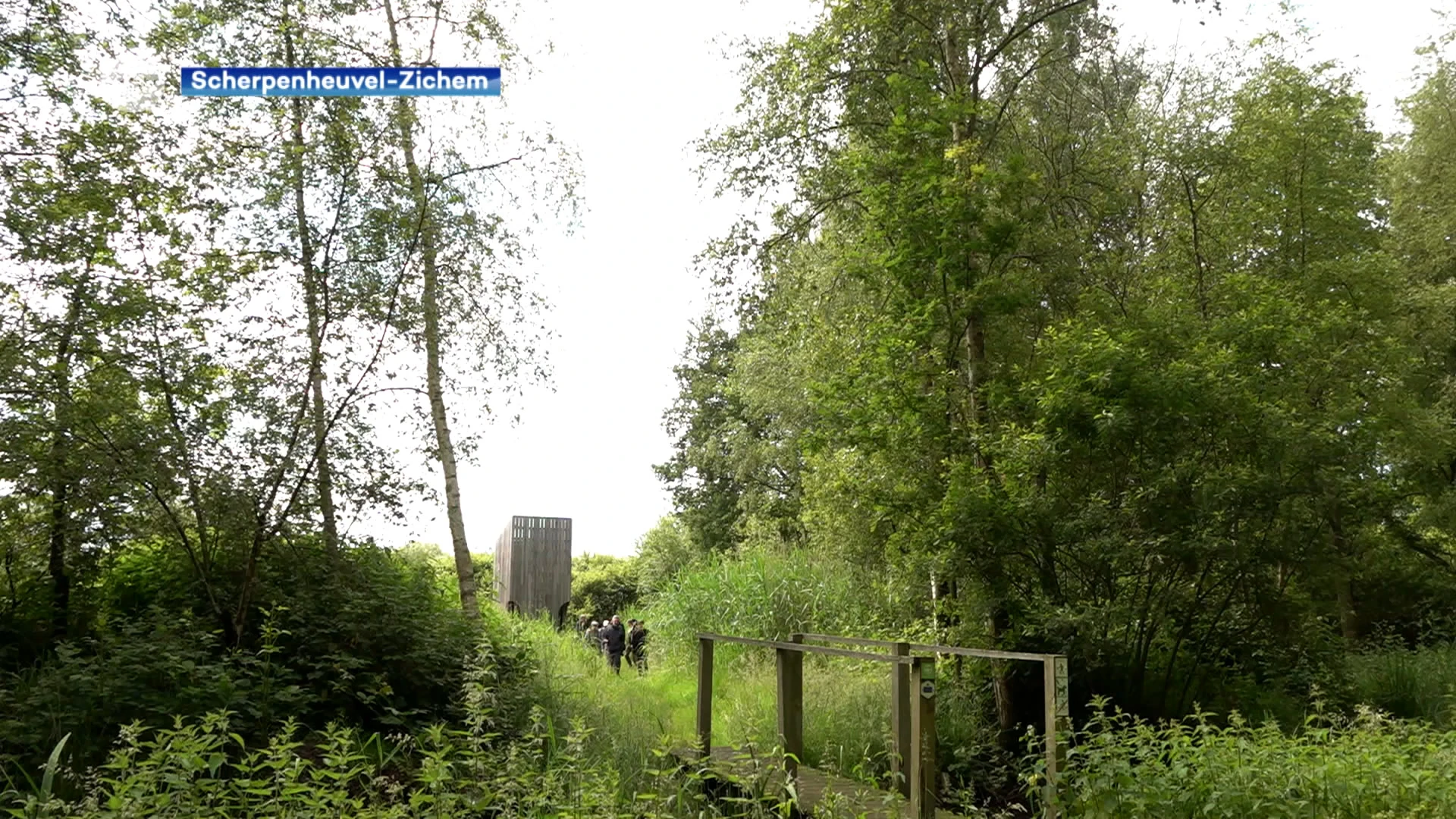 Frisdrankengigant Coca-Cola betaalt mee voor natuur Demerbroeken, nieuwe studie brengt opvallend resultaat: "Elke euro levert er acht op"