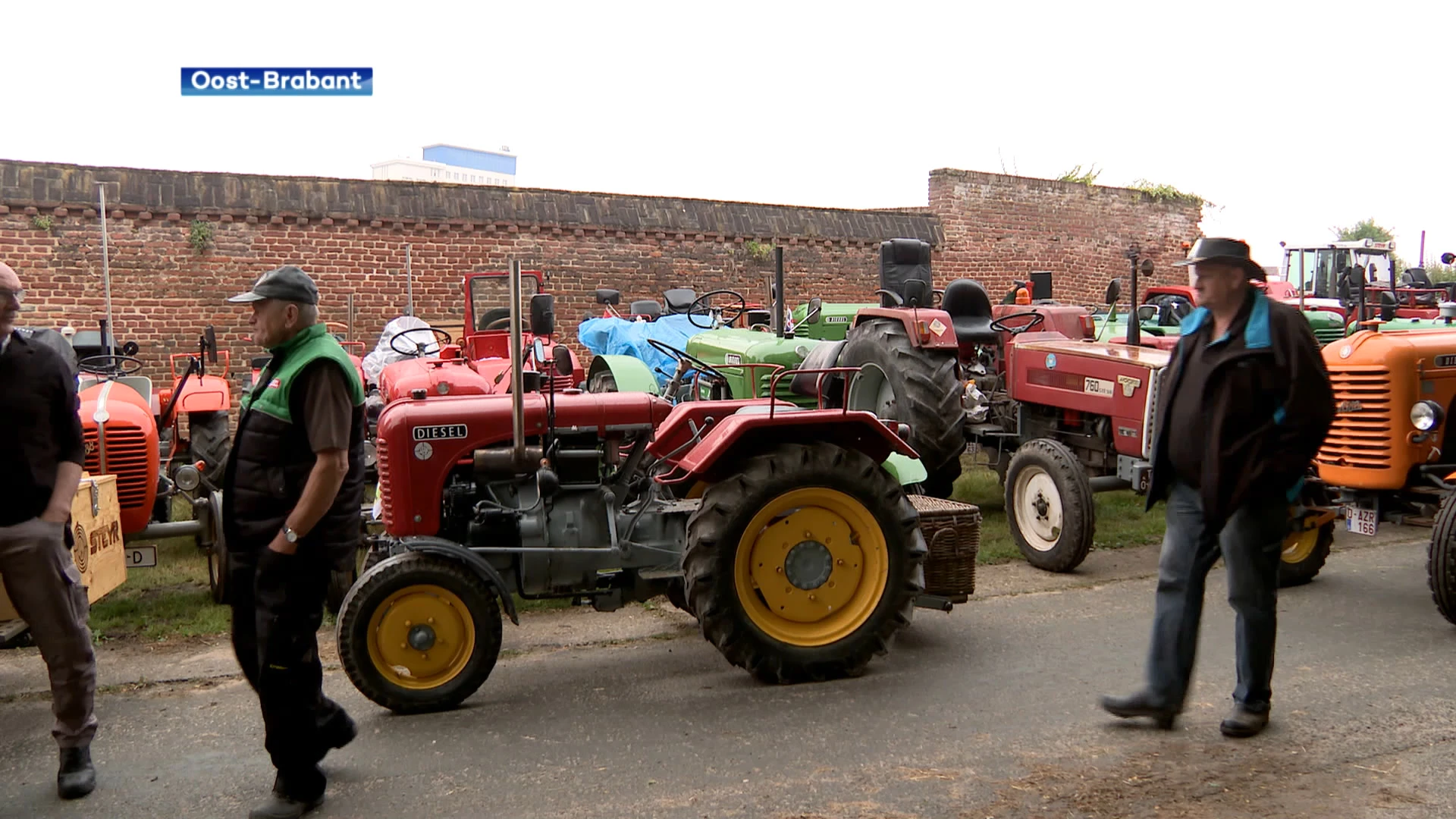 Door weer, wind en de velden: 60 oldtimer tractors doorkruisen onze regio tijdens jaarlijkse optocht