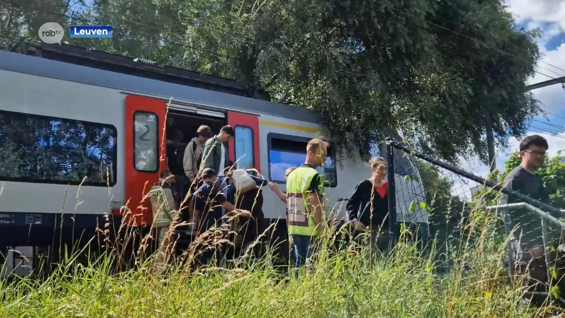 Verstoord treinverkeer in Wijgmaal zaterdagnamiddag door overhellende boom, reizigers geëvacueerd