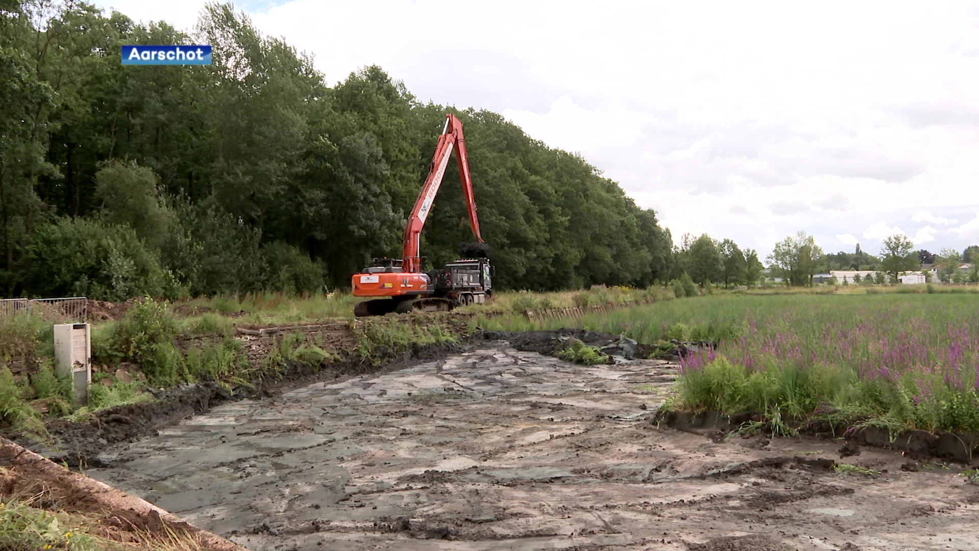 Provincie geeft groen licht voor zwemvijver op het domein van Schoonhoven: "Voordeeltarief voor Aarschottenaar"