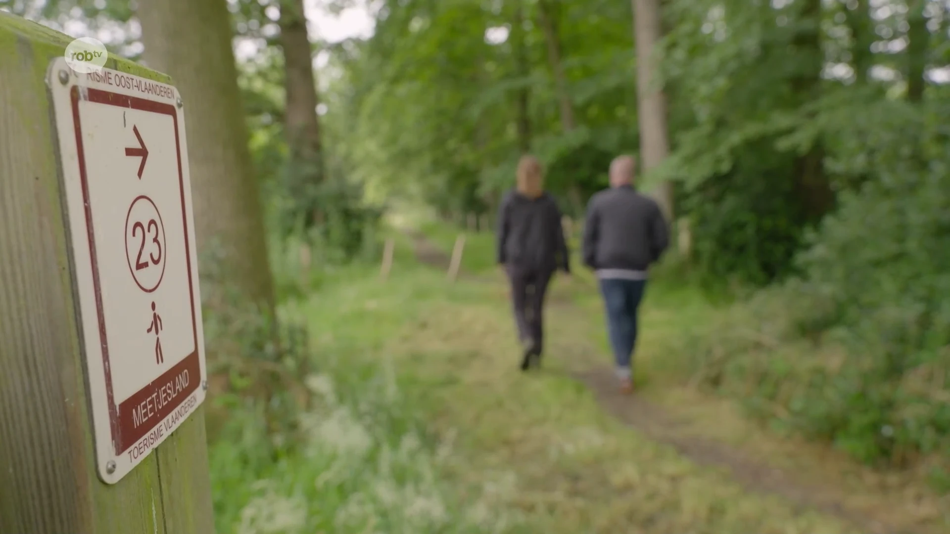 Zomertip - Toerisme Oost-Vlaanderen Route 4 Drongengoedbos