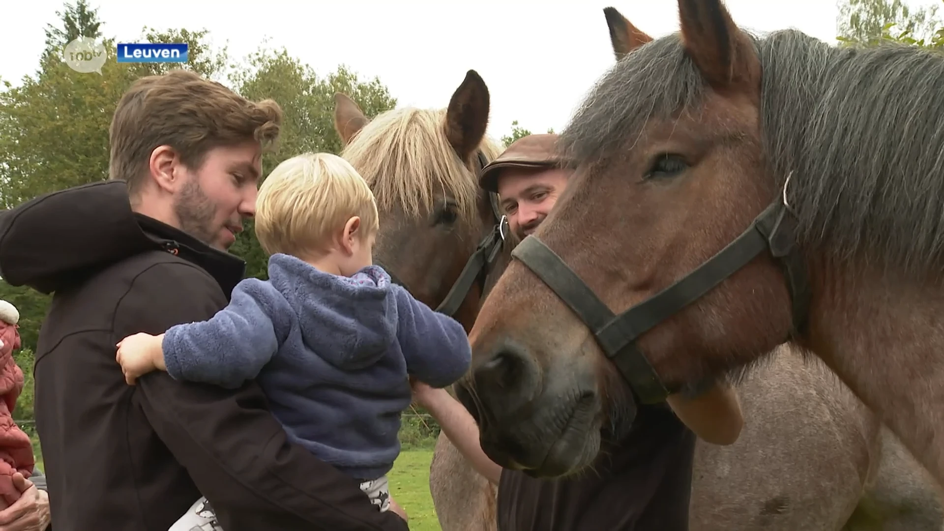 Provincie leert kinderen spelenderwijs kennismaken met dieren in provinciedomein Kessel-Lo: "Jong geleerd, is oud gedaan"