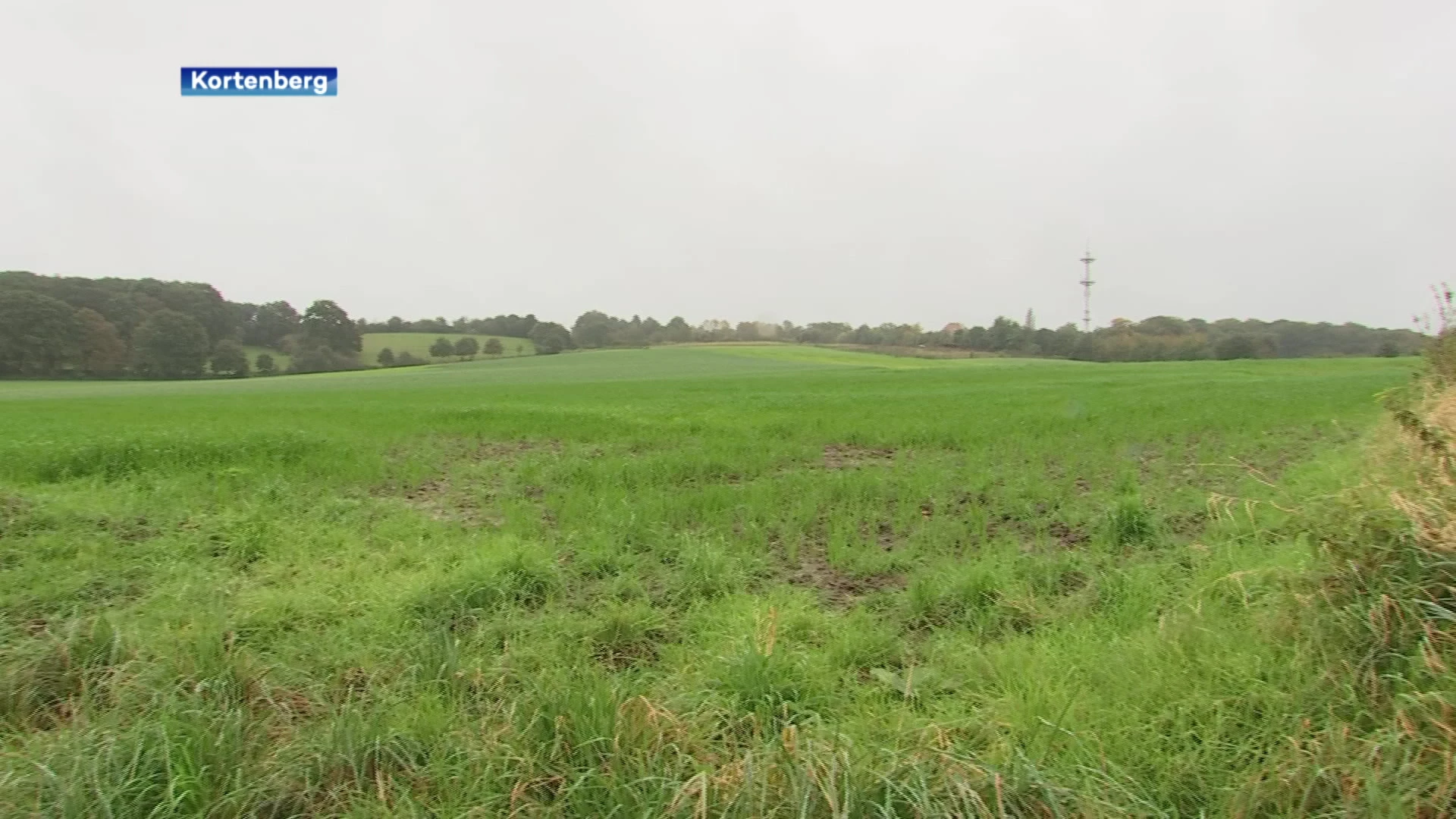 Provincie keurt nieuw bos langs Heerbaan in Everberg goed ondanks weigering gemeente