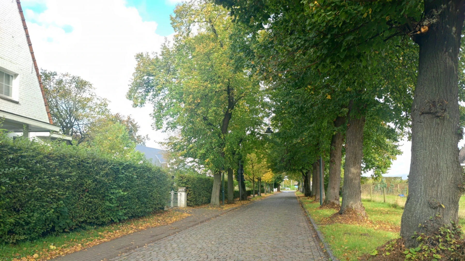 Werken aan nieuw fietspad in Prinsendreef in Kortenberg starten maandag