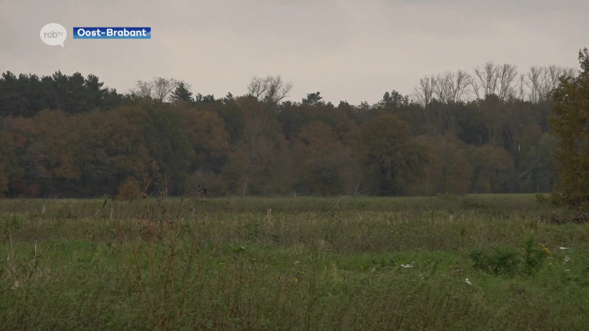 Aarschot en Tielt-Winge niet akkoord met toekomstplannen natuurgebied: "Dit is Averbode revisited, gevolgen zijn zeer groot"