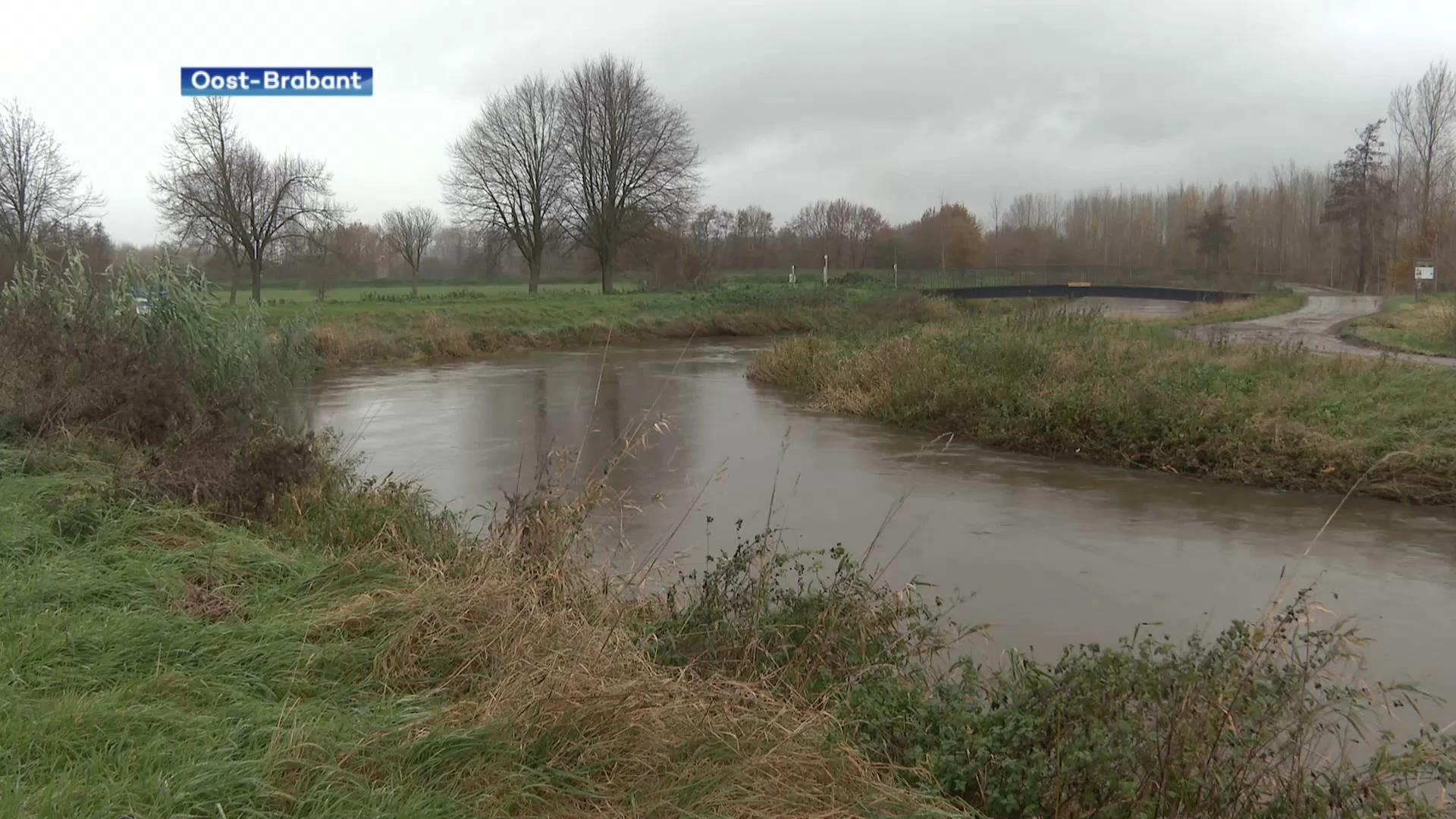 Week na felle regenbuien zakt Demer opnieuw onder waakdrempel: Ondanks regen van vandaag zou waterpeil dalen