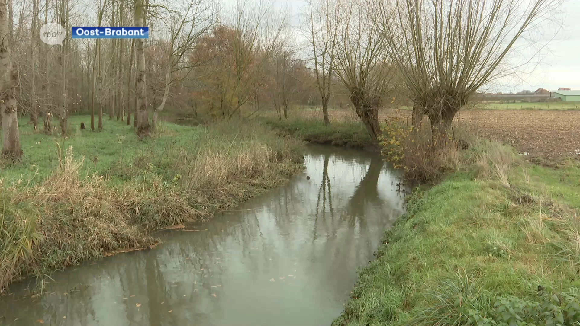 Oost-Brabant minder nat dan rest van het land: "Puur toeval"