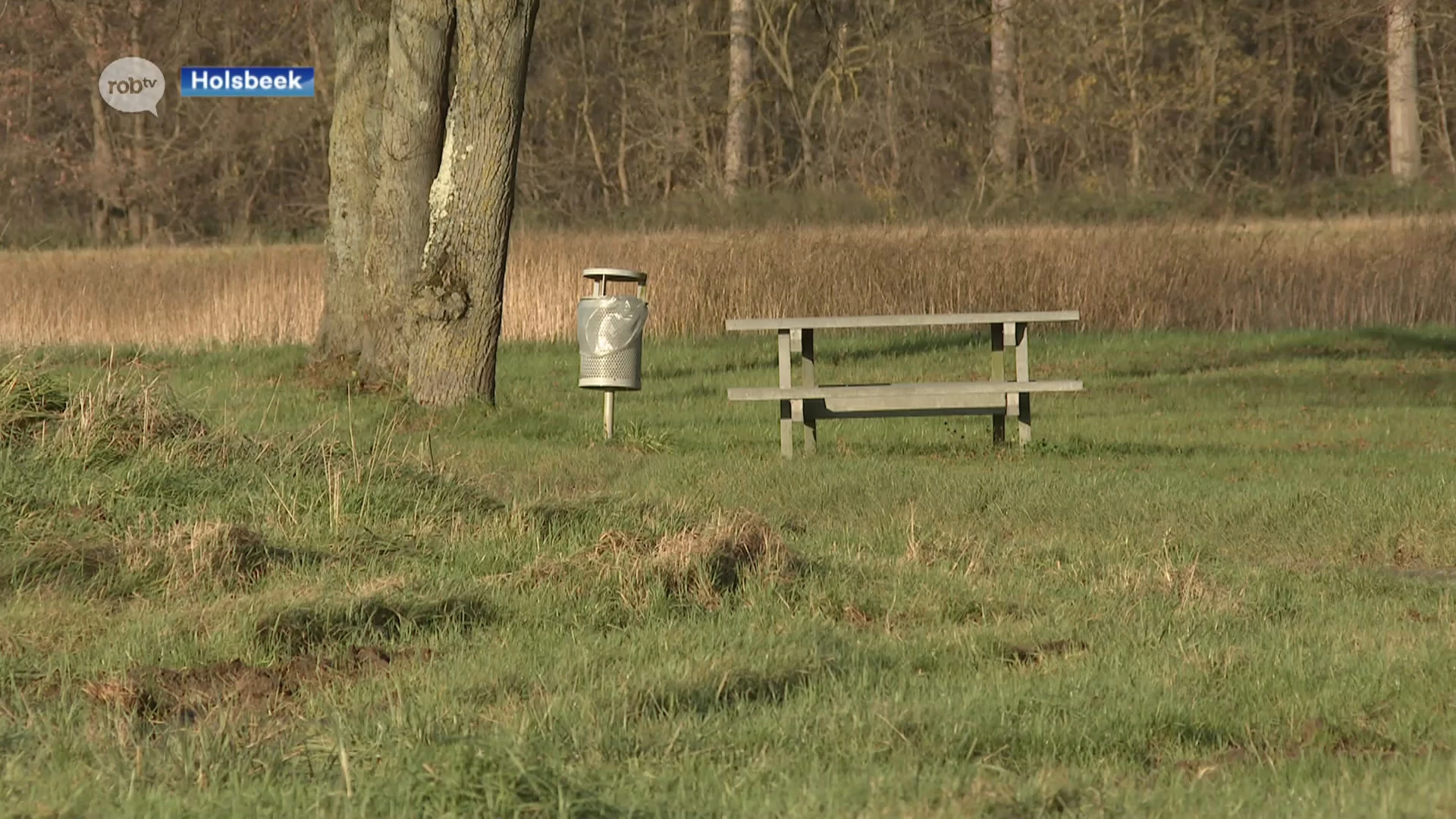 Groen licht voor Beweegpark Bruul in Holsbeek: " De komende weken gaan wij de plannen verder uitwerken."