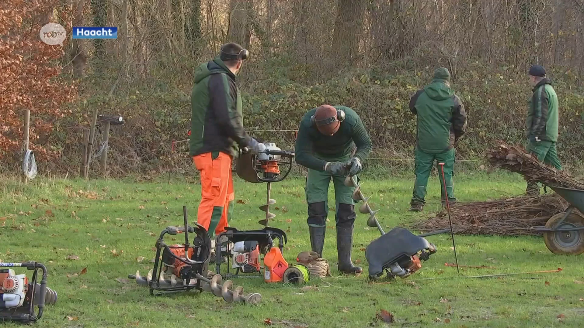 Provincie Vlaams-Brabant start met aanplant van 1.000 bomen op weiland in Haacht: "Eik, linde en esdoorn"