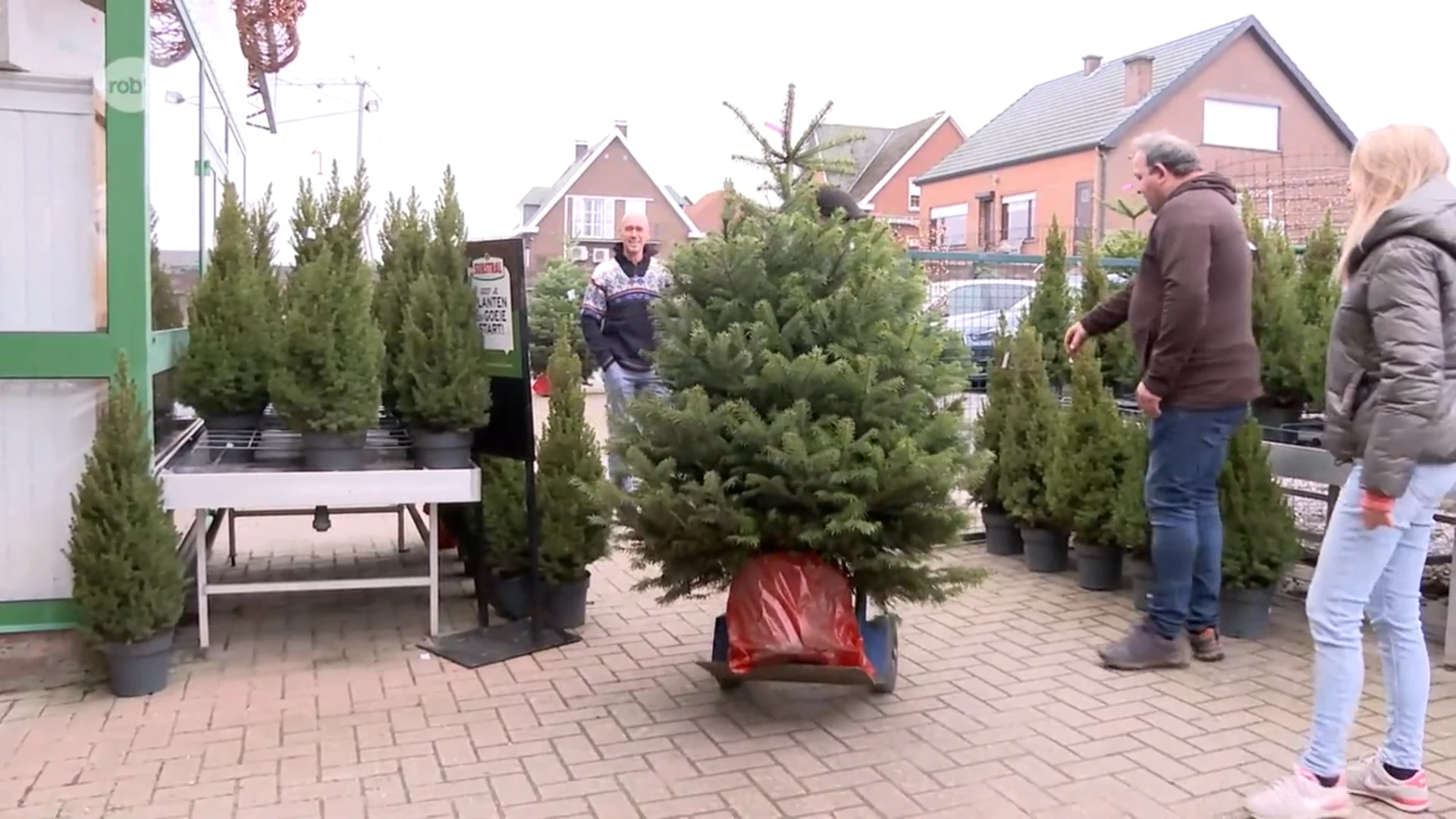 Kunststof kerstboom almaar populairder, maar niet ten koste van de echte kerstbomen: "Een echte boom brengt toch meer sfeer in huis"