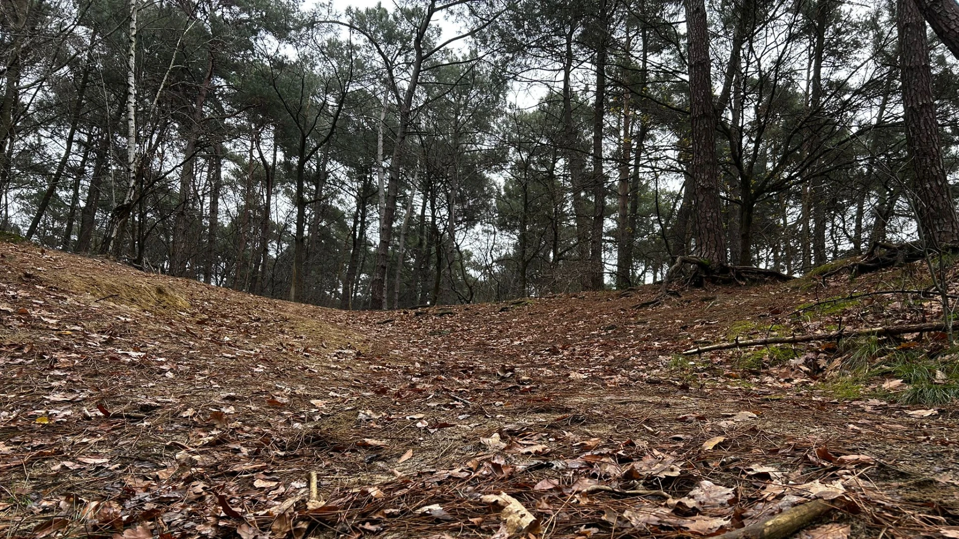 Spijkers gevonden langs populaire fietsroutes in bossen van Langdorp: ongeveer 30 fietsers lopen schade op