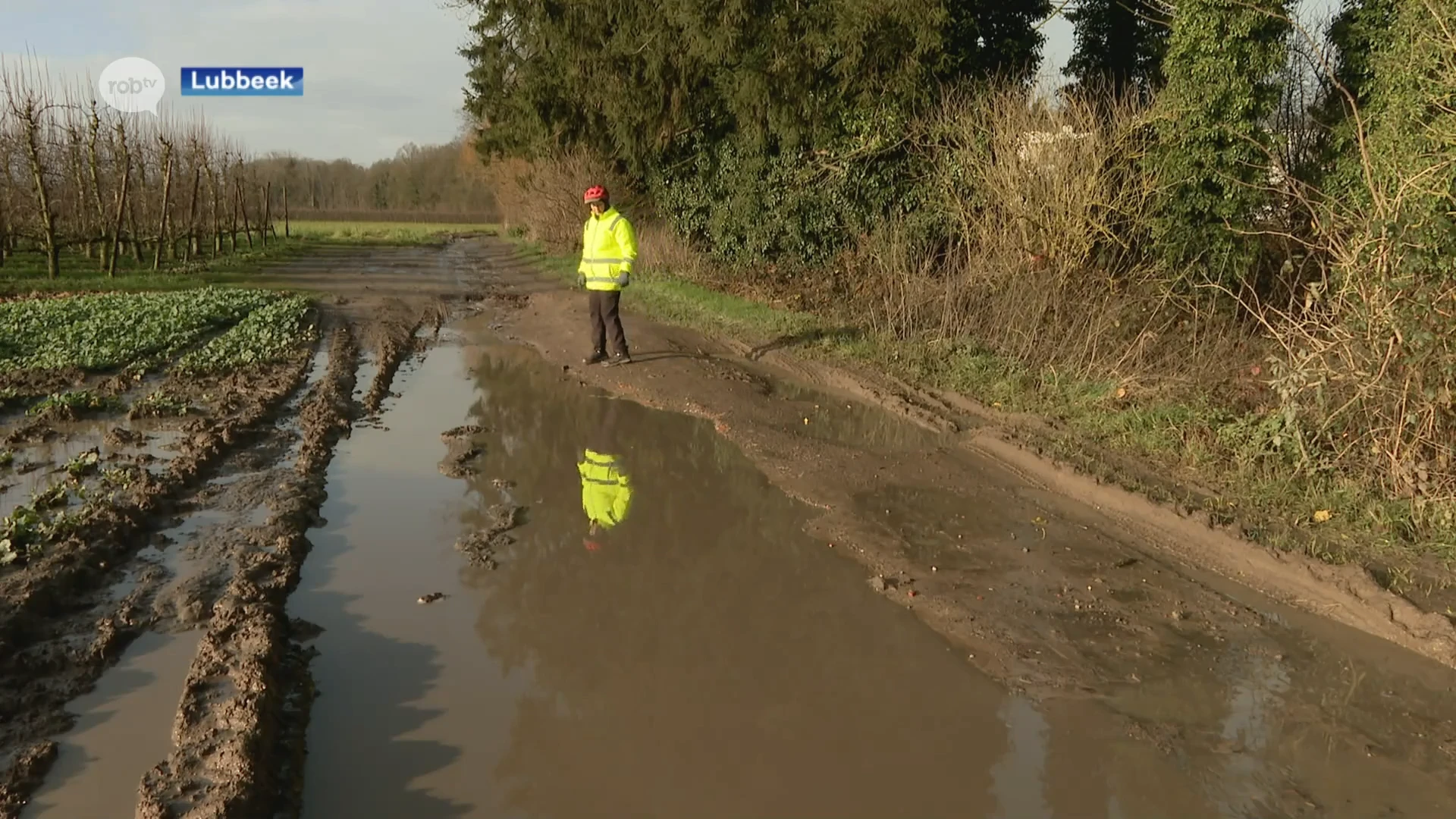 Kasteelstraat in Lubbeek is één grote modderpoel: "Je weet niet hoe diep die plassen zijn, wij rijden daar niet door"