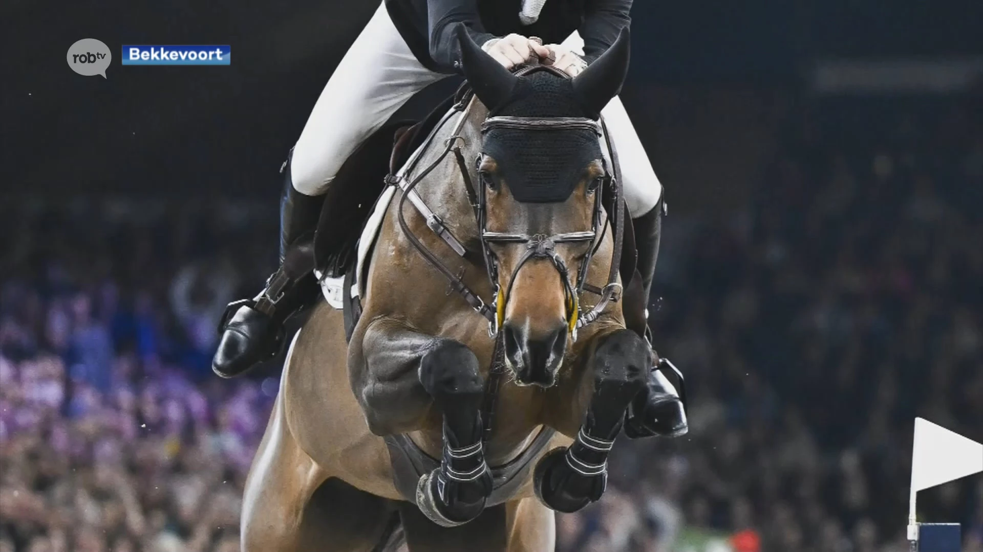 Pieter Devos uit Bekkevoort pakt brons met merrie Casual DV brons op Kerstjumping in Mechelen, Bierbekenaar Domien Michiels eindigt zesde in dressuur