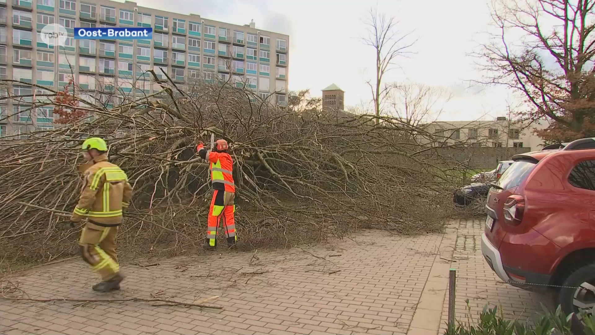 Brandweer krijgt in onze regio meer dan 230 meldingen na storm Floriane: "Vooral omgevallen bomen"