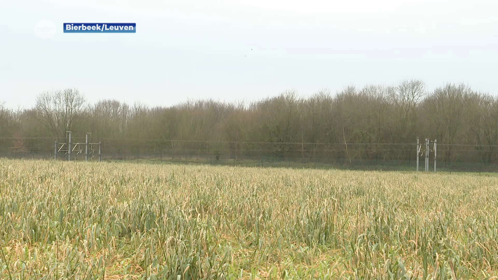 Betoncentrale op grens Leuven en Bierbeek krijgt groen licht ondanks resem negatieve adviezen