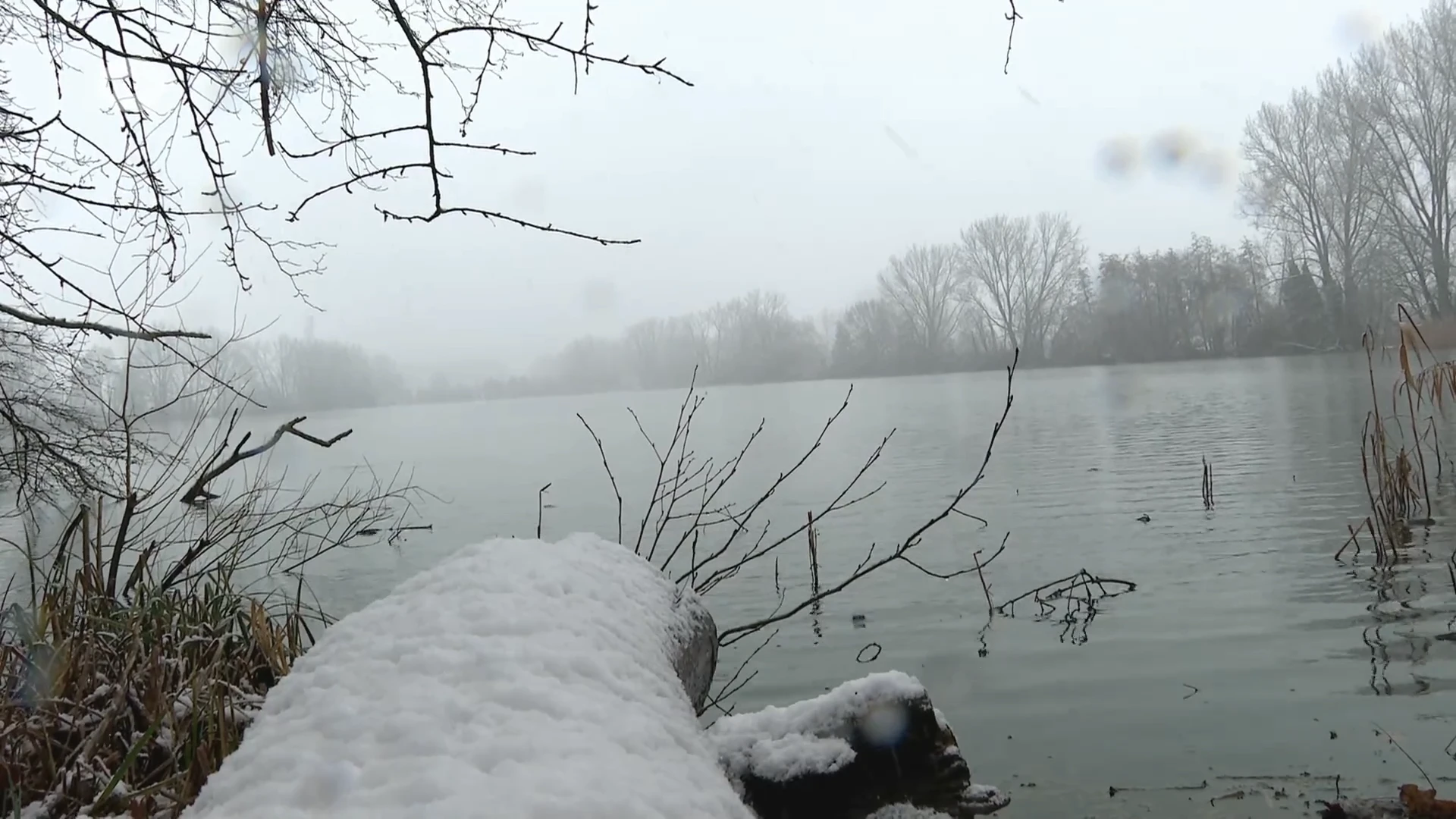 Vijvers van Bellefroid in Leuven zien er prachtig uit dankzij sneeuwtapijt