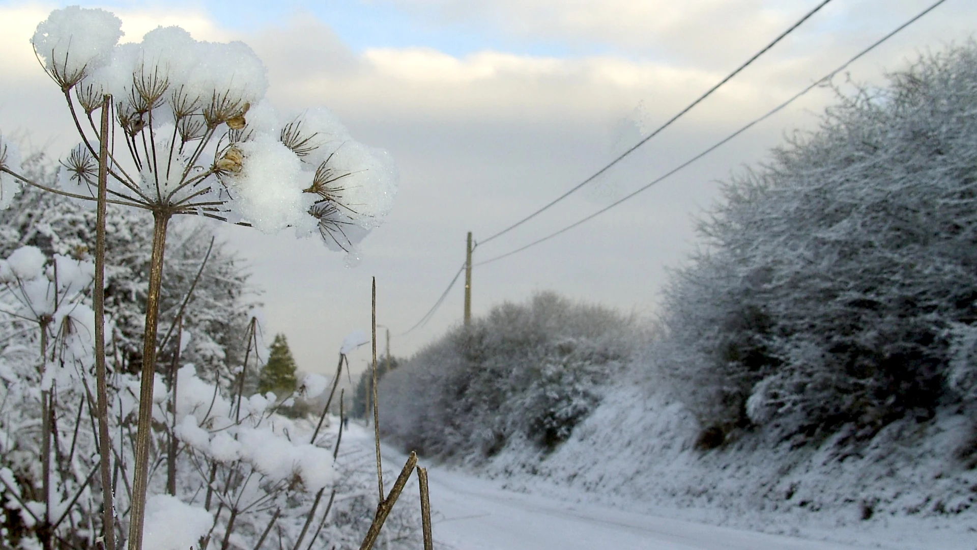 HERBELEEF: LIVEBLOG: Oost-Brabant ligt onder een sneeuwtapijt