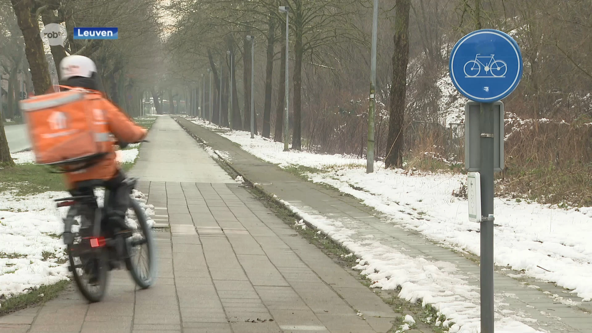 Werken aan fietssnelweg in Kessel-Lo lopen vertraging op, vergunning vernietigd na beroep buurtbewoner