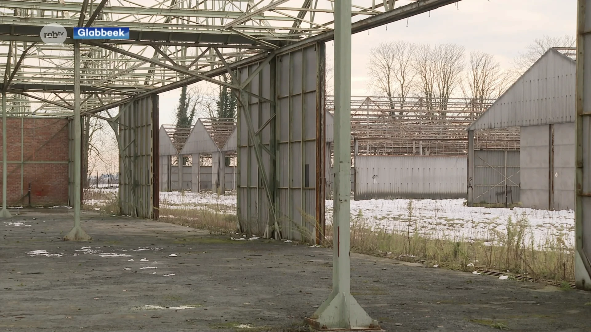 Glabbeek keurt omgevingsvergunning voor nieuwe sportsite op militair domein in Attenrode-Wever goed: "Ondermeer padelvelden, verblijfsaccommodatie en brasserie"