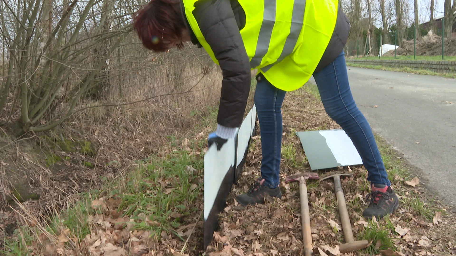 Natuurpunt zoekt hulp bij paddenoverzet: 23 acties in onze regio