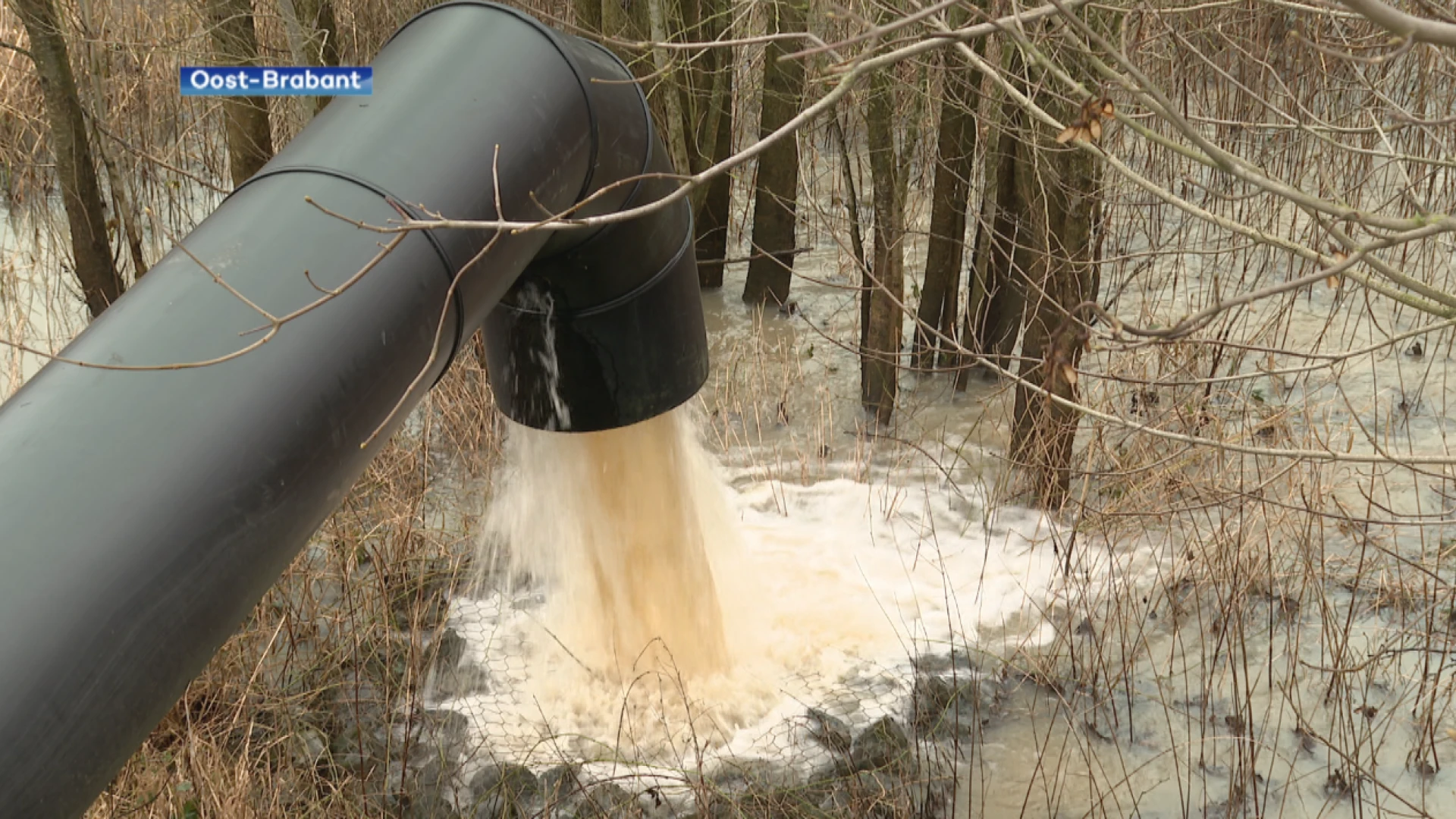 Demer bereikt al voor de tweede keer deze maand waakdrempel: "Bodem is volledig verzadigd waardoor water niet in de grond trekt, maar geen problemen verwacht"