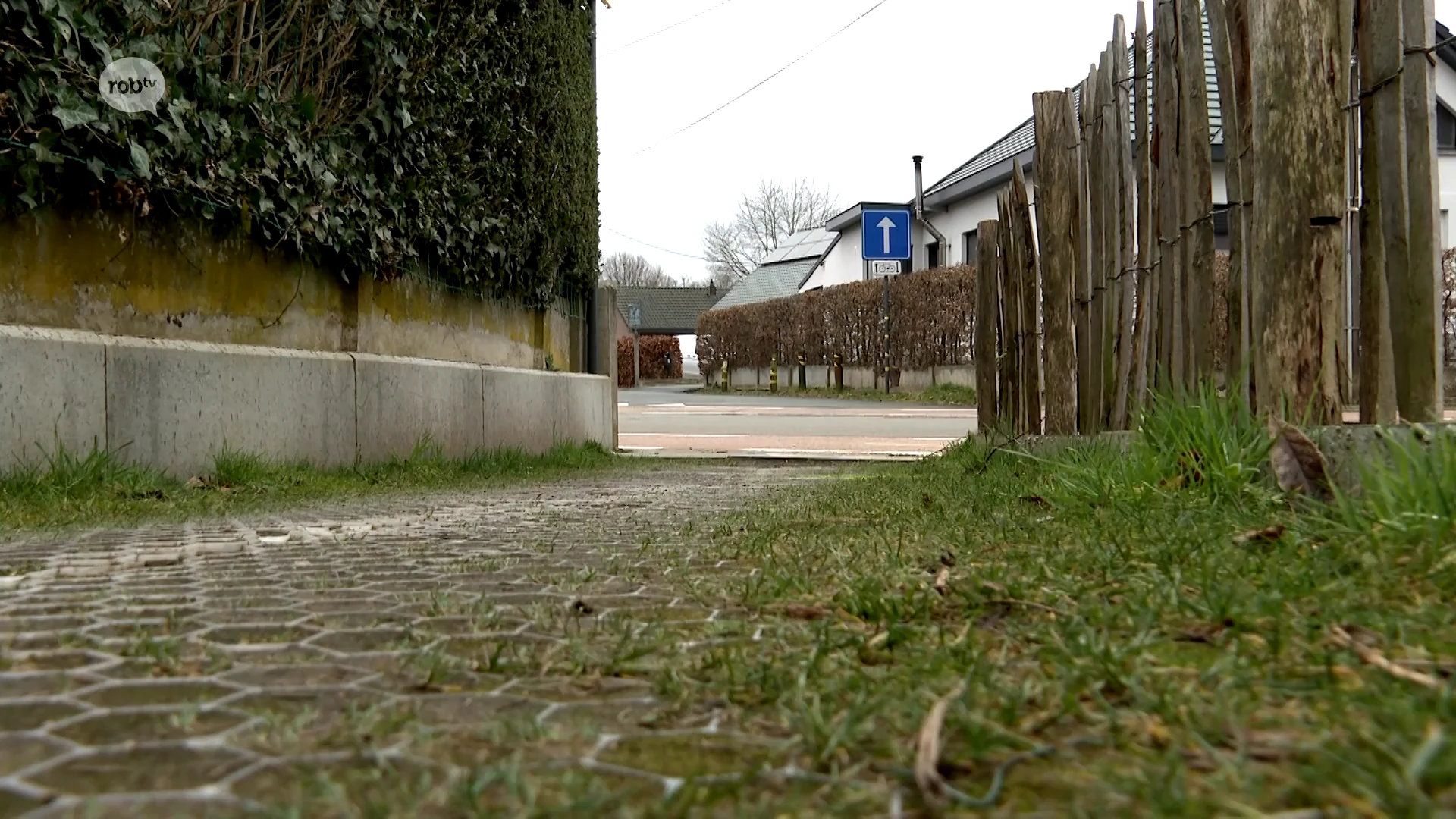 Gemeente Rotselaar wil haag op kruising waar fietser omkomt al jaren weg om zichtbaarheid te verhogen