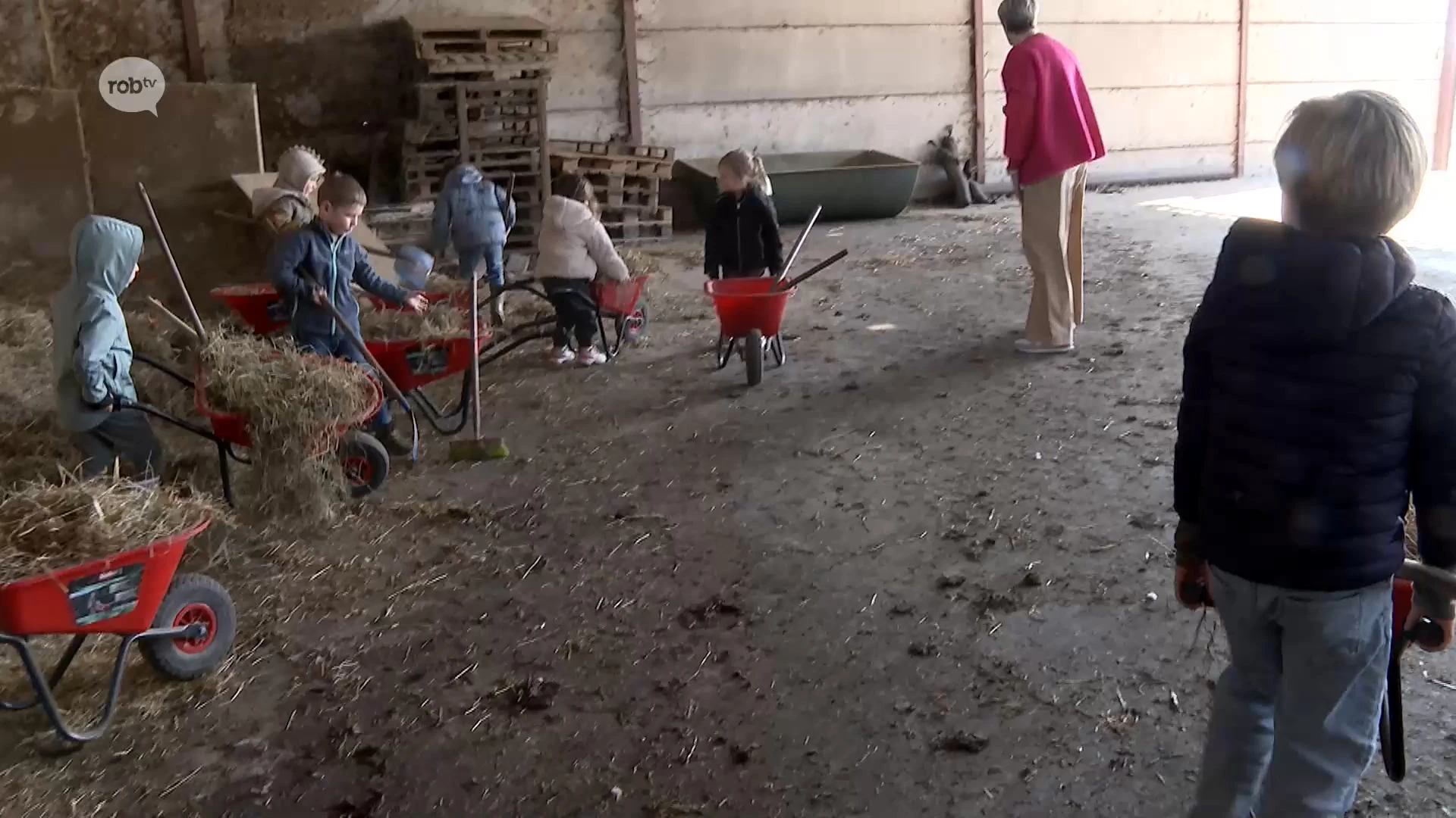 50 kinderen rijden op tractor en aaien dieren tijdens boederijkamp in speelboerderij Ravot in Glabbeek: "Ik vind het leuk"