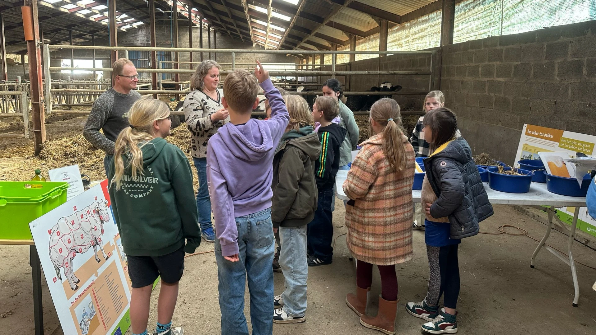 150 leerlingen van basisscholen uit Diest maken kennis met plattelandsleven op Hoeve De Peinwinning in Bekkevoort: "Biefstuk proeven was het tofste"
