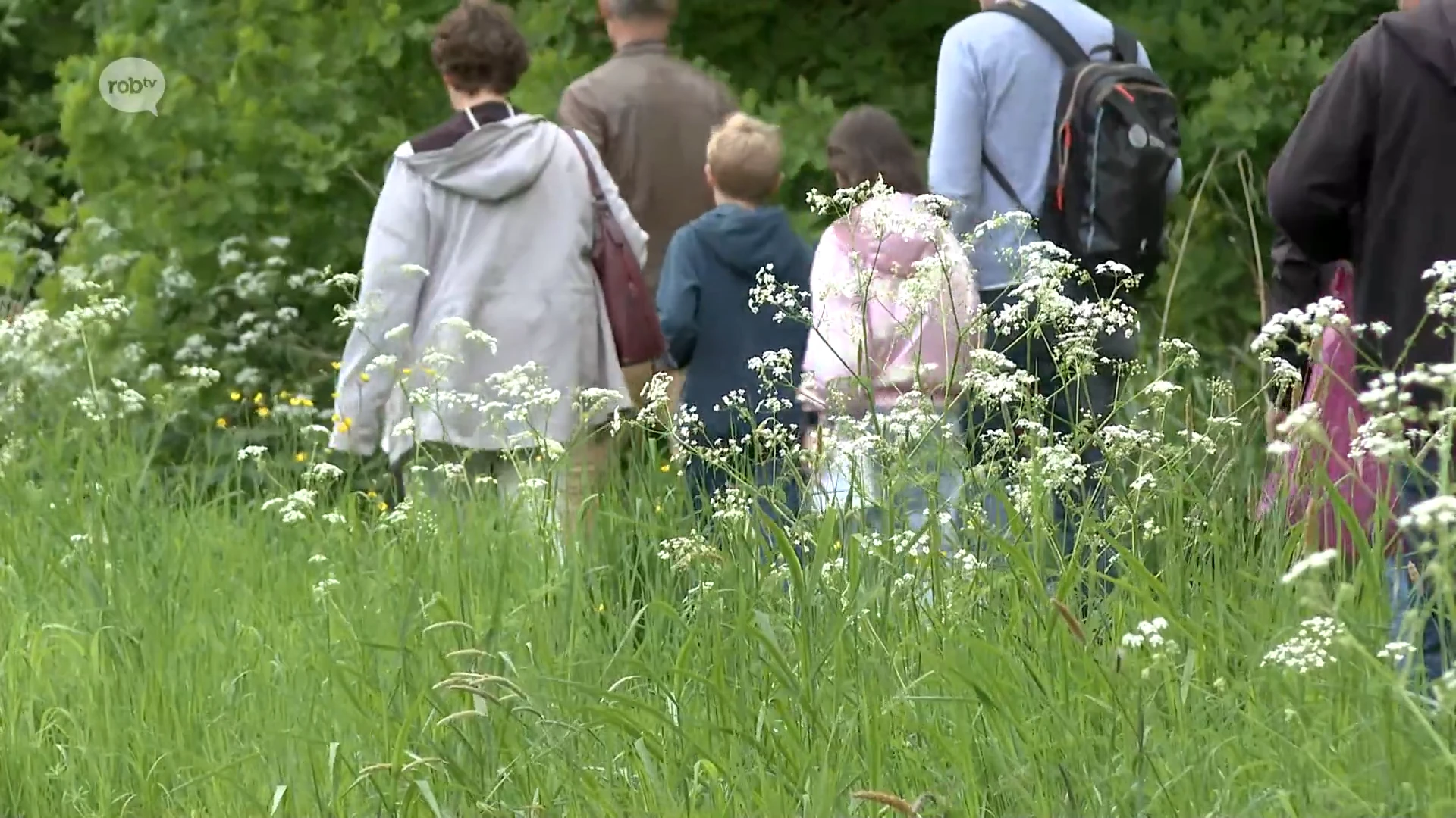 Wandel langs de mooiste plekjes van het Pikhakendonk én kom alles te weten over de Kamsalamander tijdens gloednieuwe kinderwandeling aan kasteel Ravestein in Hever